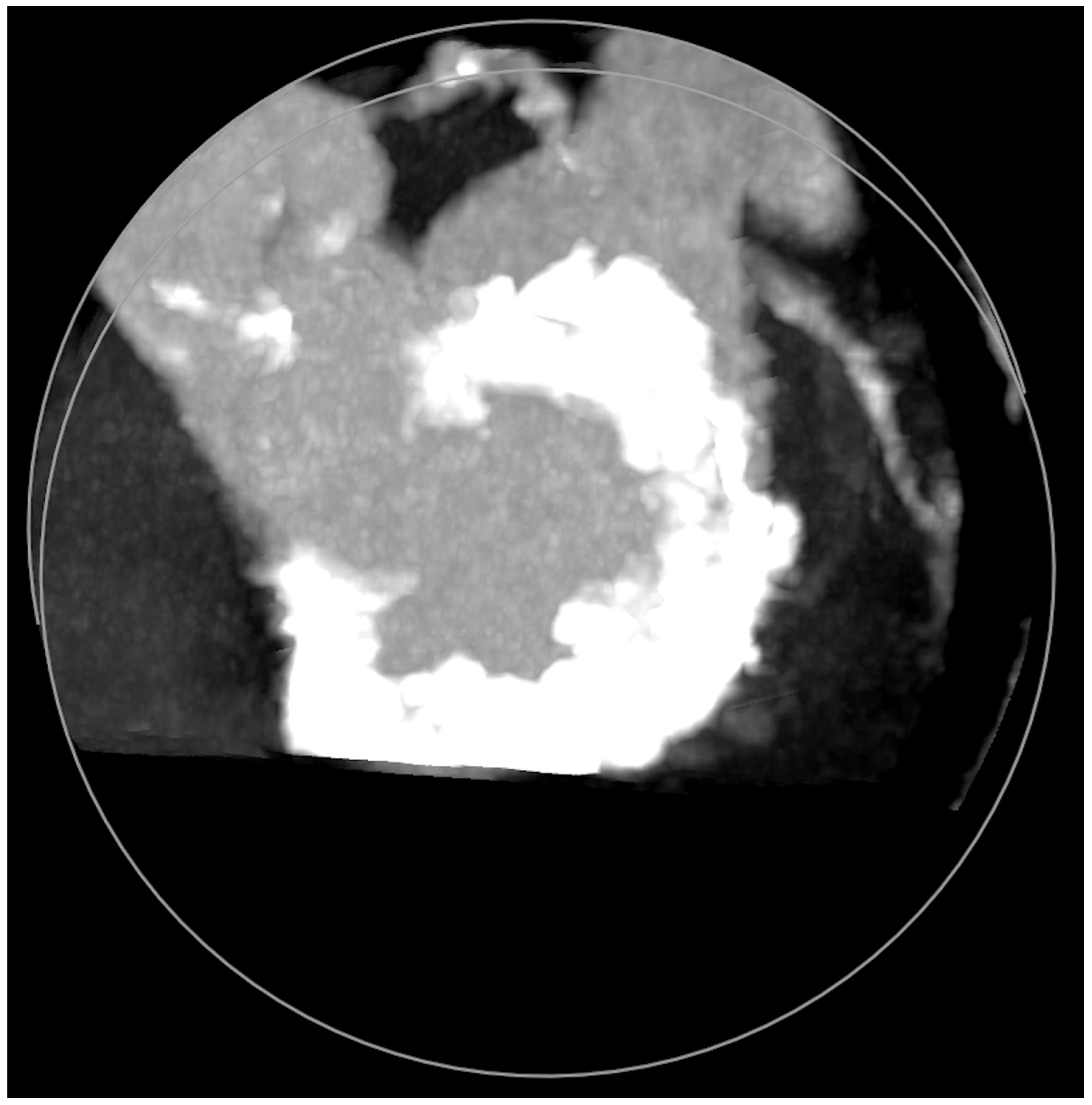 Jcm 11 06444 g005 Jcm 11 06444 g005