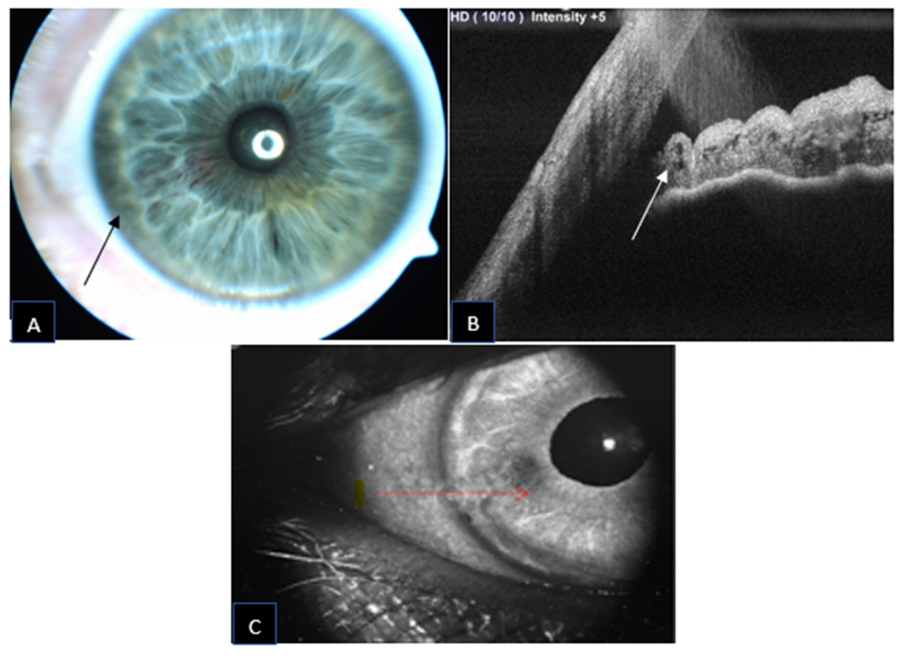 Jcm 11 06575 g001 Jcm 11 06575 g001