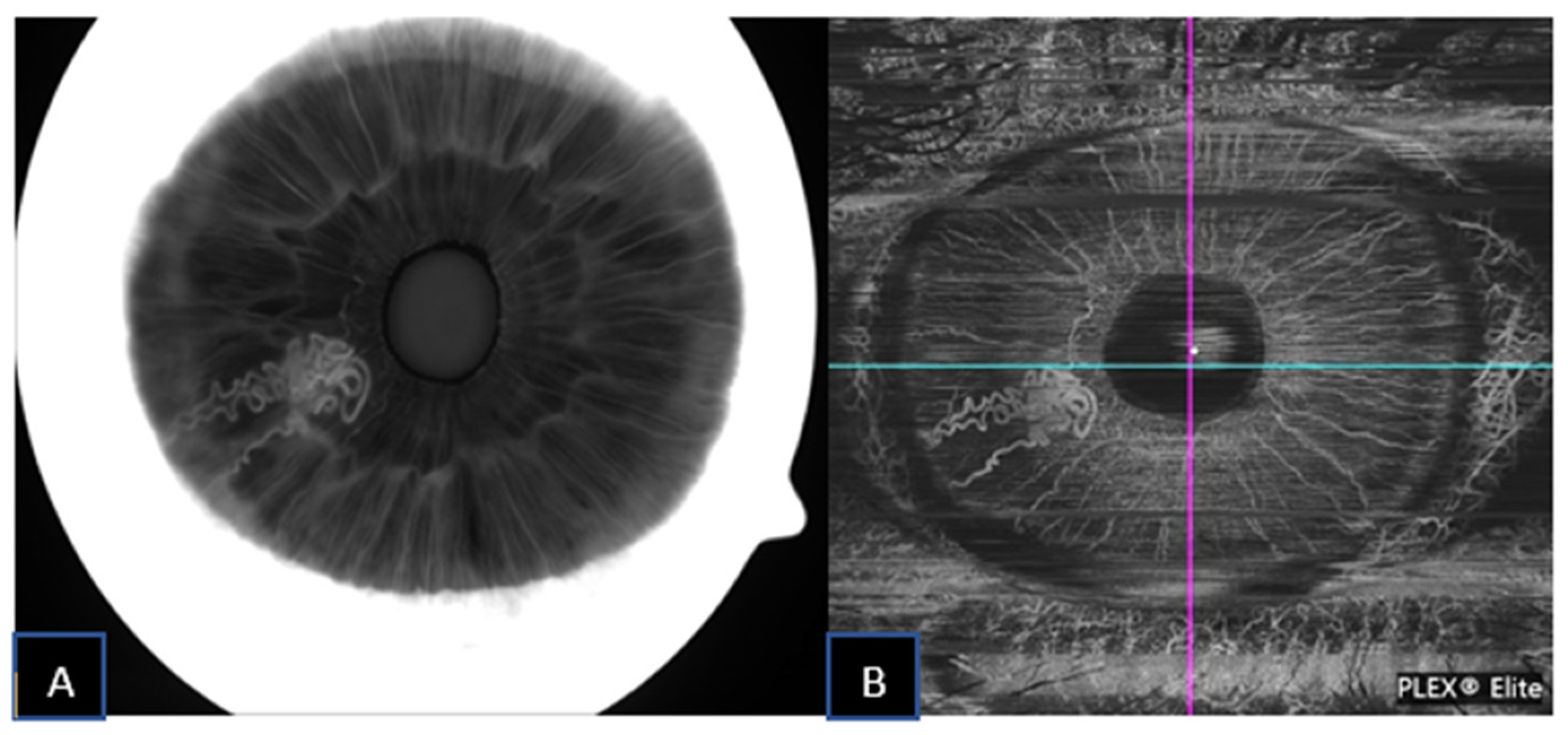 Jcm 11 06575 g002 Jcm 11 06575 g002