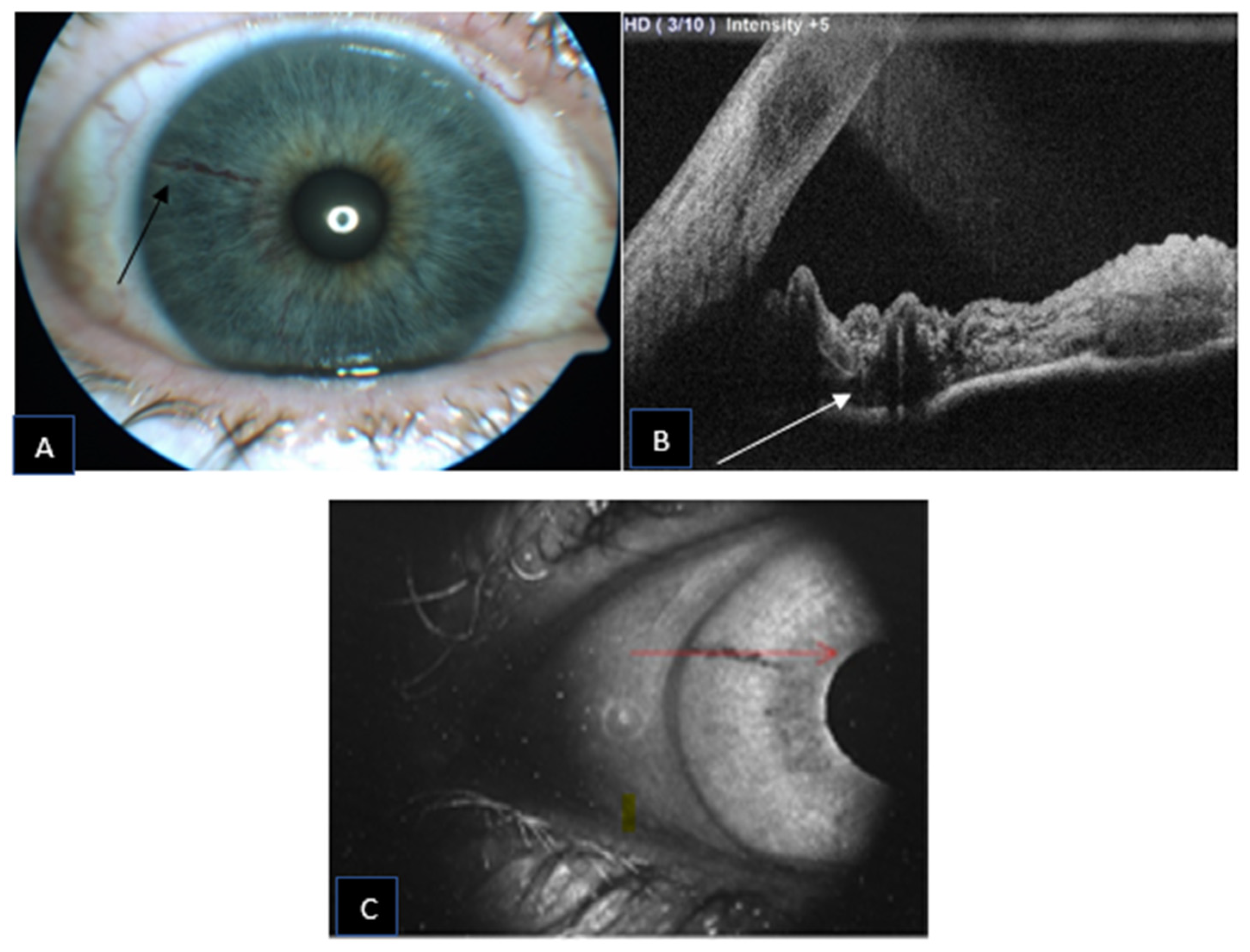 Jcm 11 06575 g003 Jcm 11 06575 g003