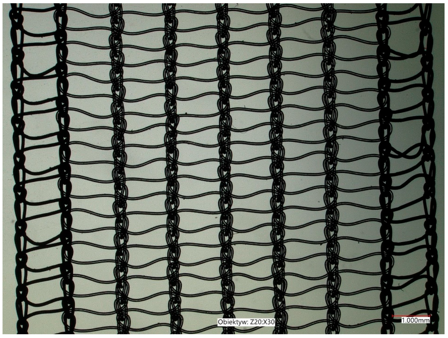Jcm 11 06656 g002 Jcm 11 06656 g002