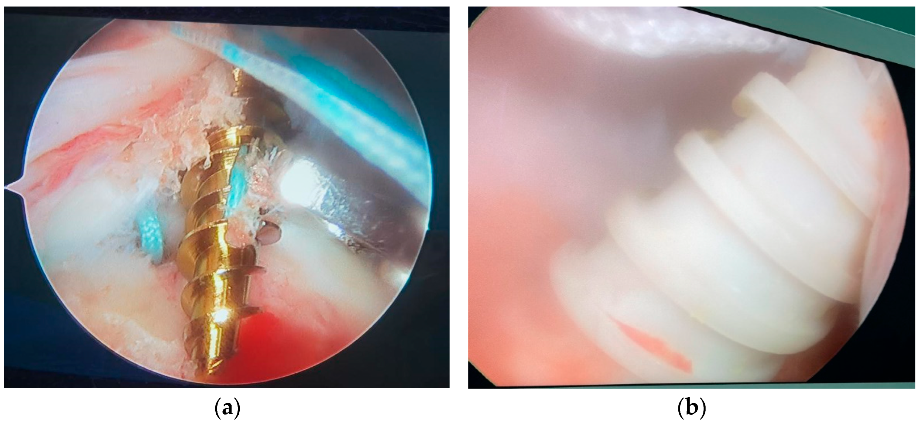 Jcm 11 06870 g001 Jcm 11 06870 g001