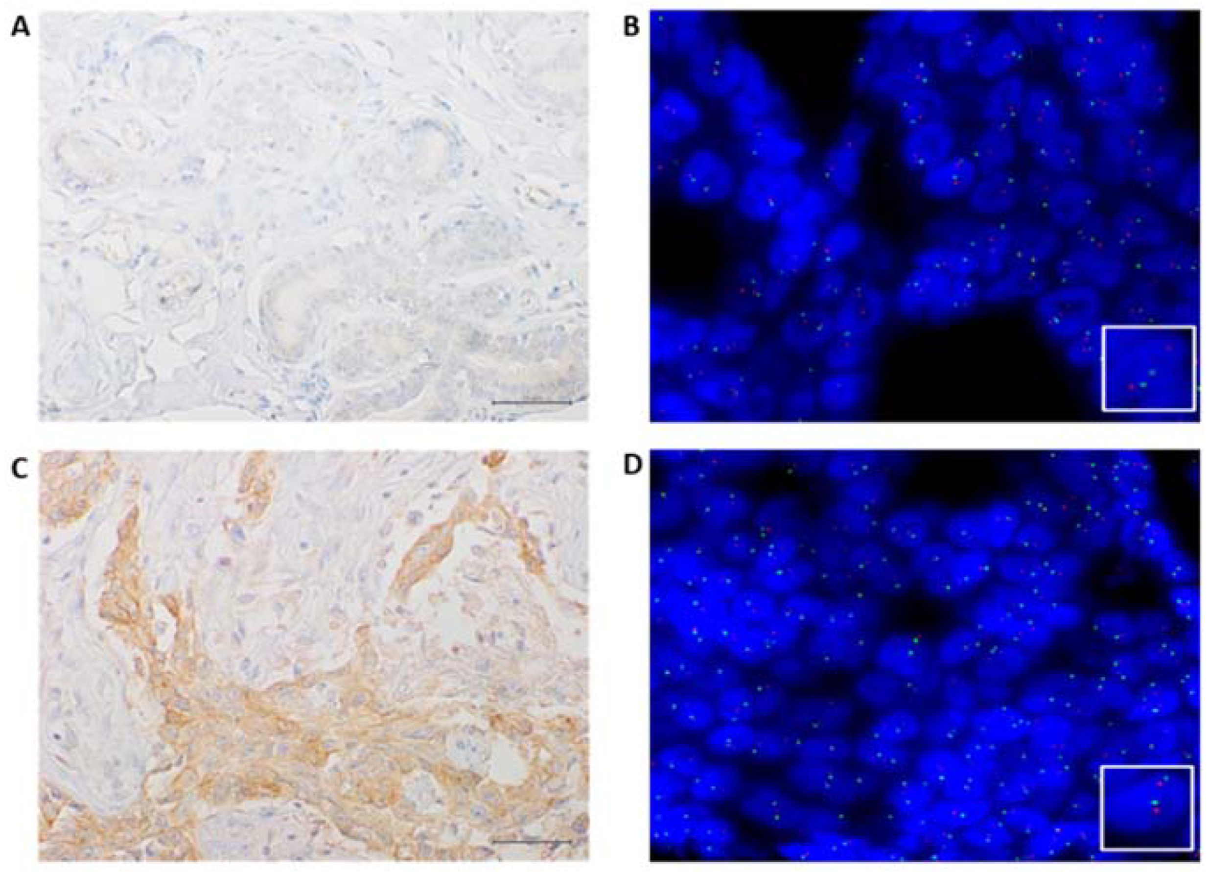 Jcm 11 06987 g003 Jcm 11 06987 g003