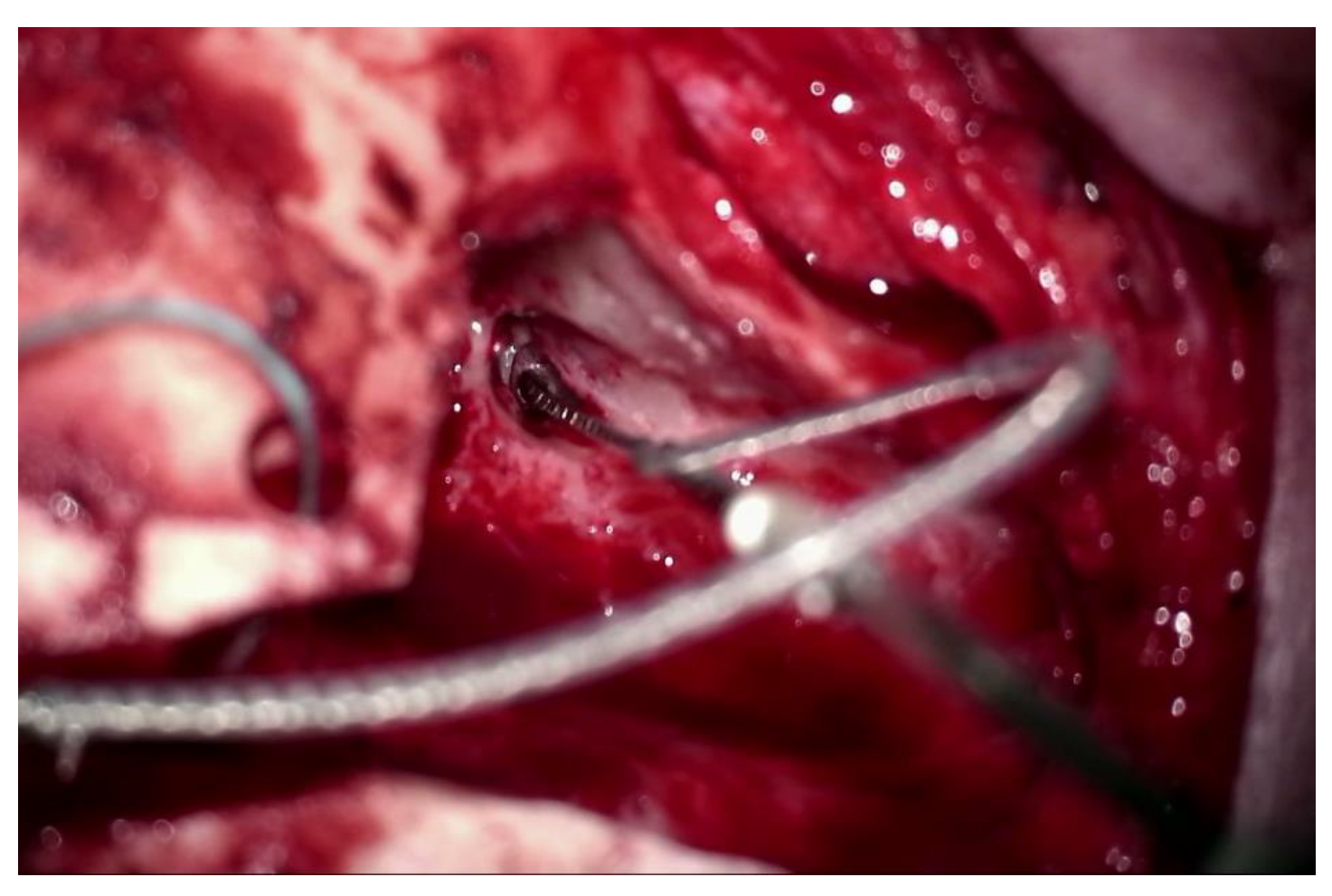 Jcm 11 07045 g007 Jcm 11 07045 g007