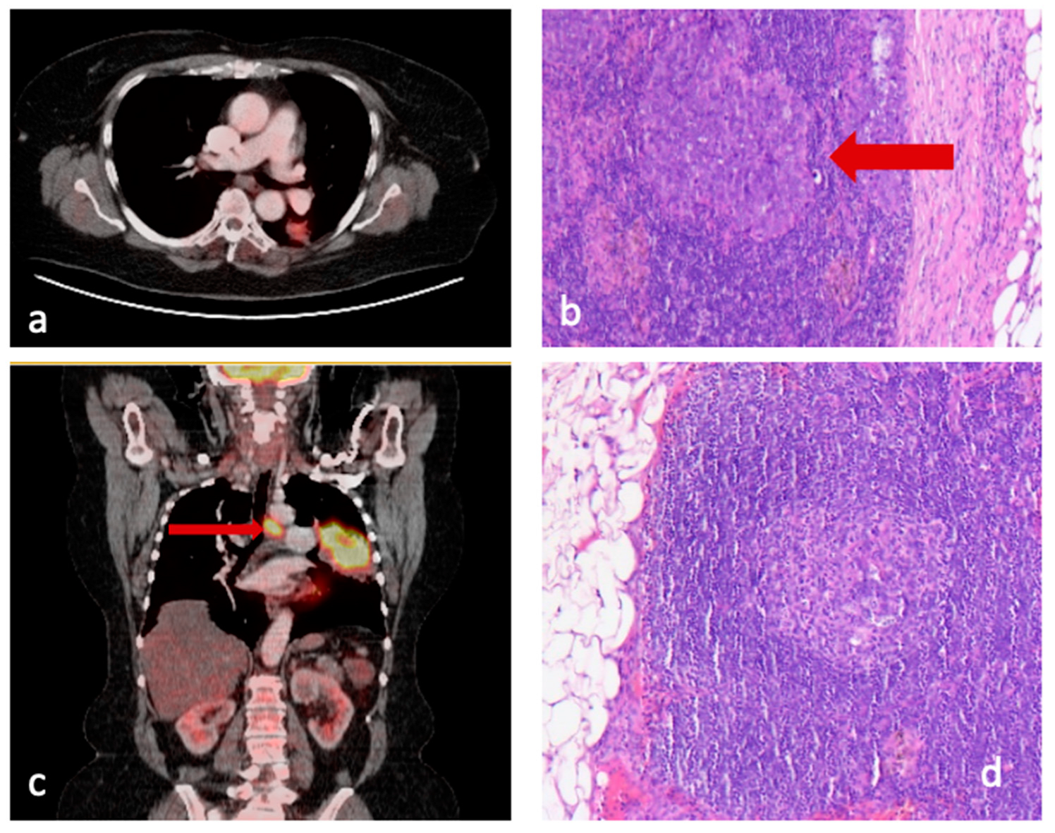 Jcm 11 07215 g001 Jcm 11 07215 g001