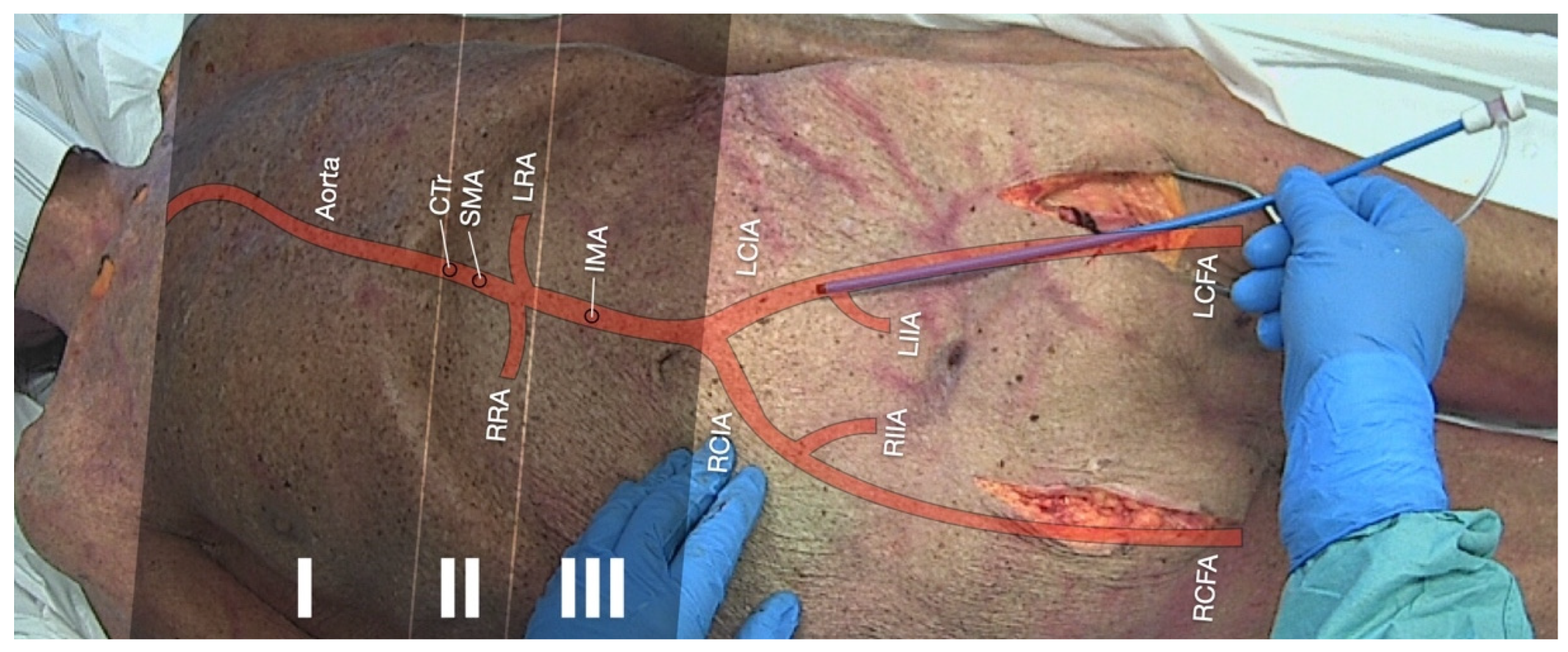Jcm 11 07315 g002 Jcm 11 07315 g002
