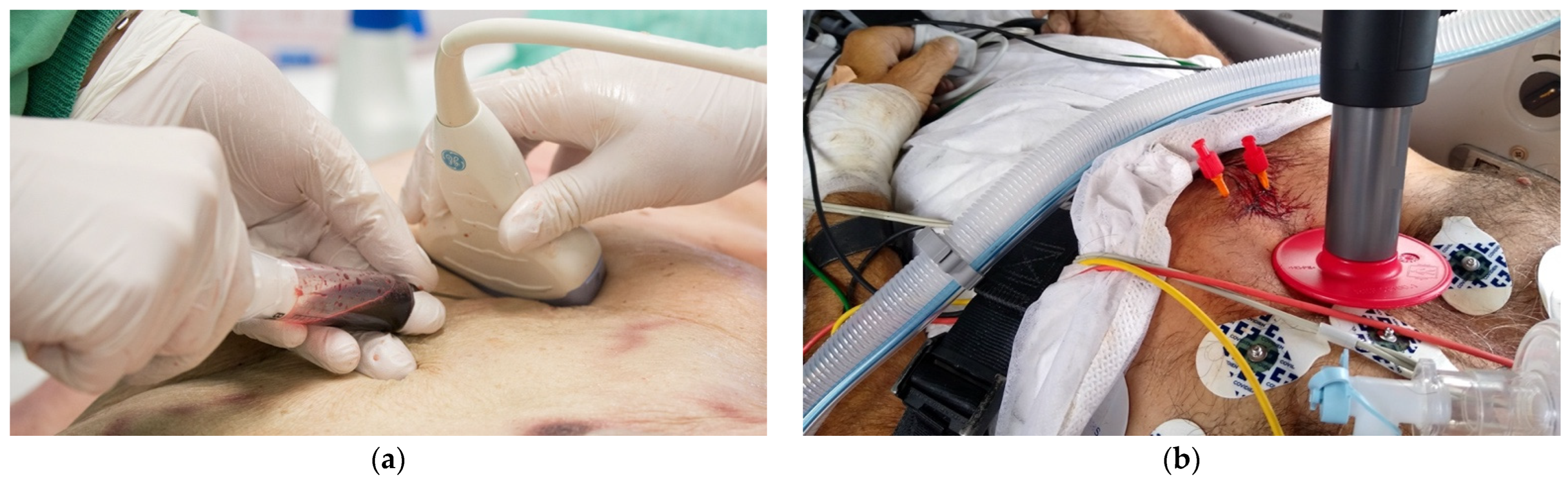 Jcm 11 07315 g004 Jcm 11 07315 g004