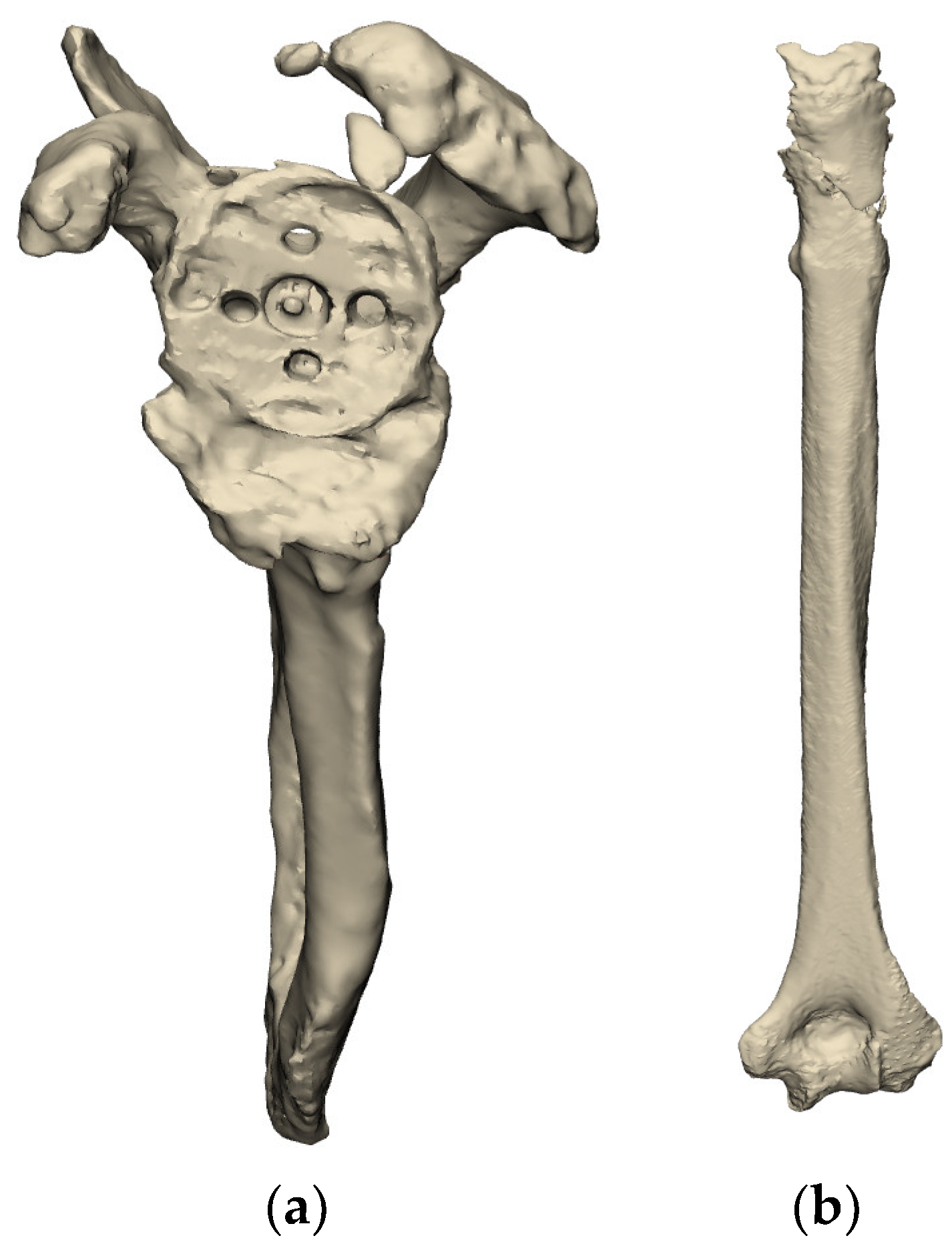 Jcm 11 07422 g002 Jcm 11 07422 g002