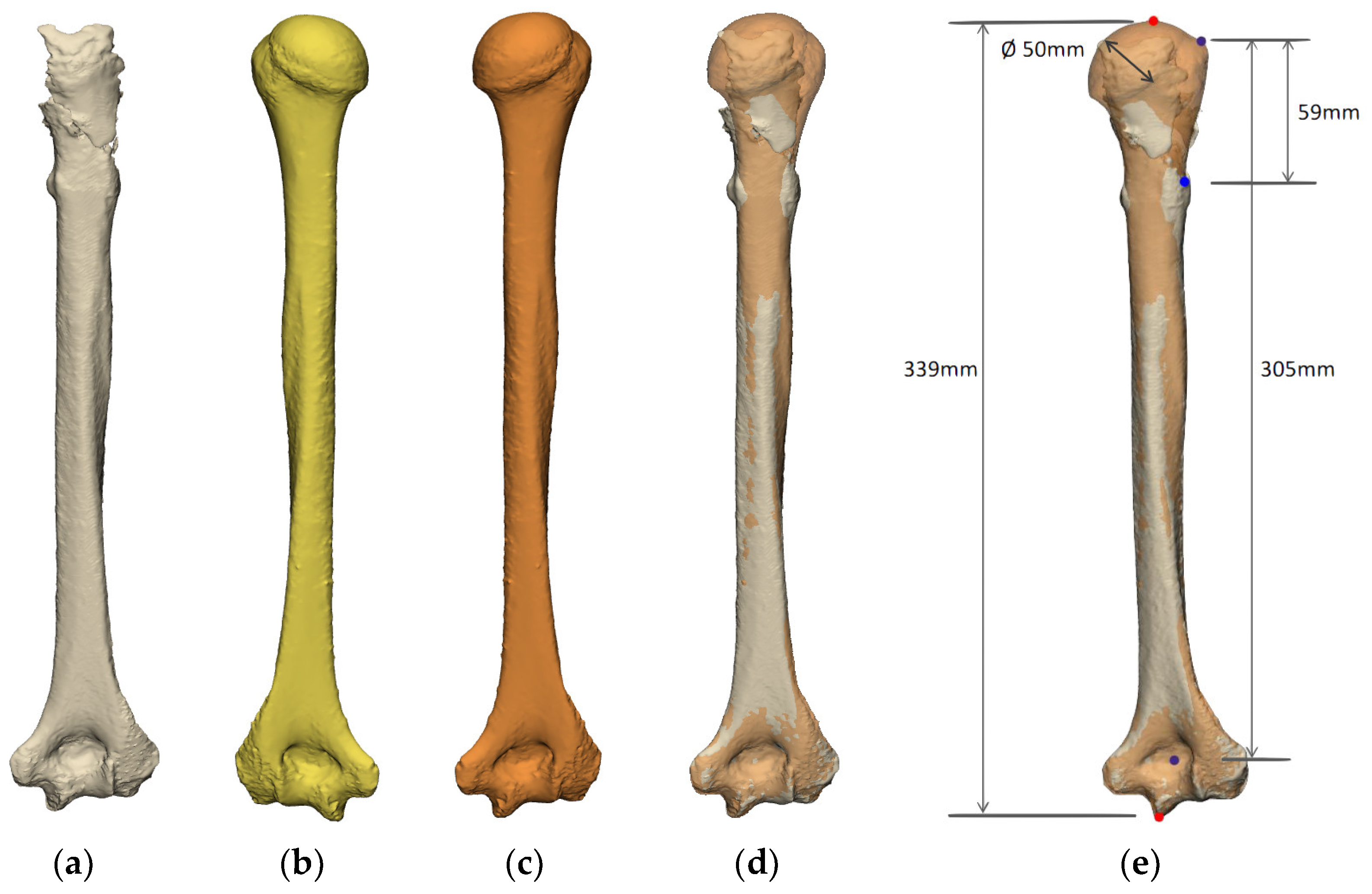 Jcm 11 07422 g005 Jcm 11 07422 g005