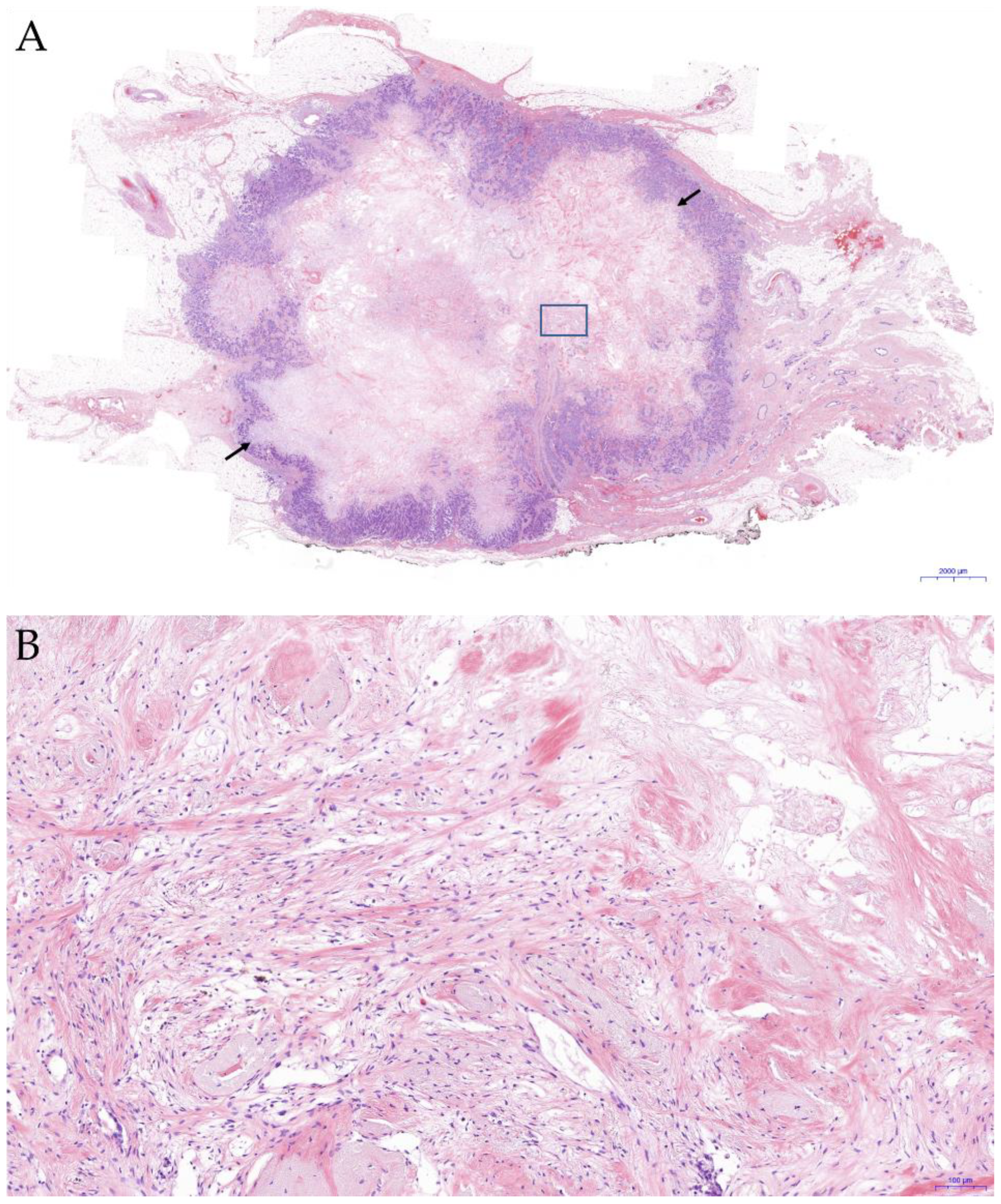 Jcm 11 07435 g001 Jcm 11 07435 g001