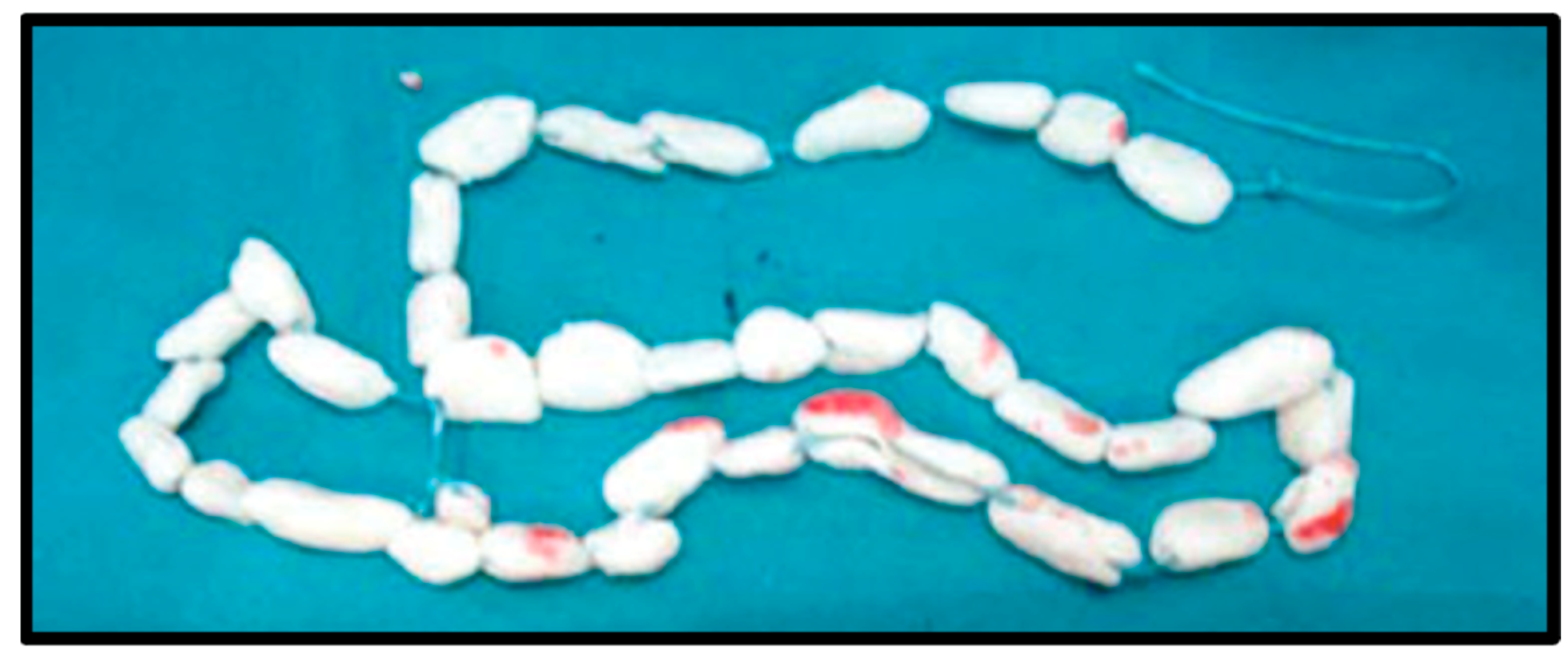 Jcm 11 07461 g001 Jcm 11 07461 g001