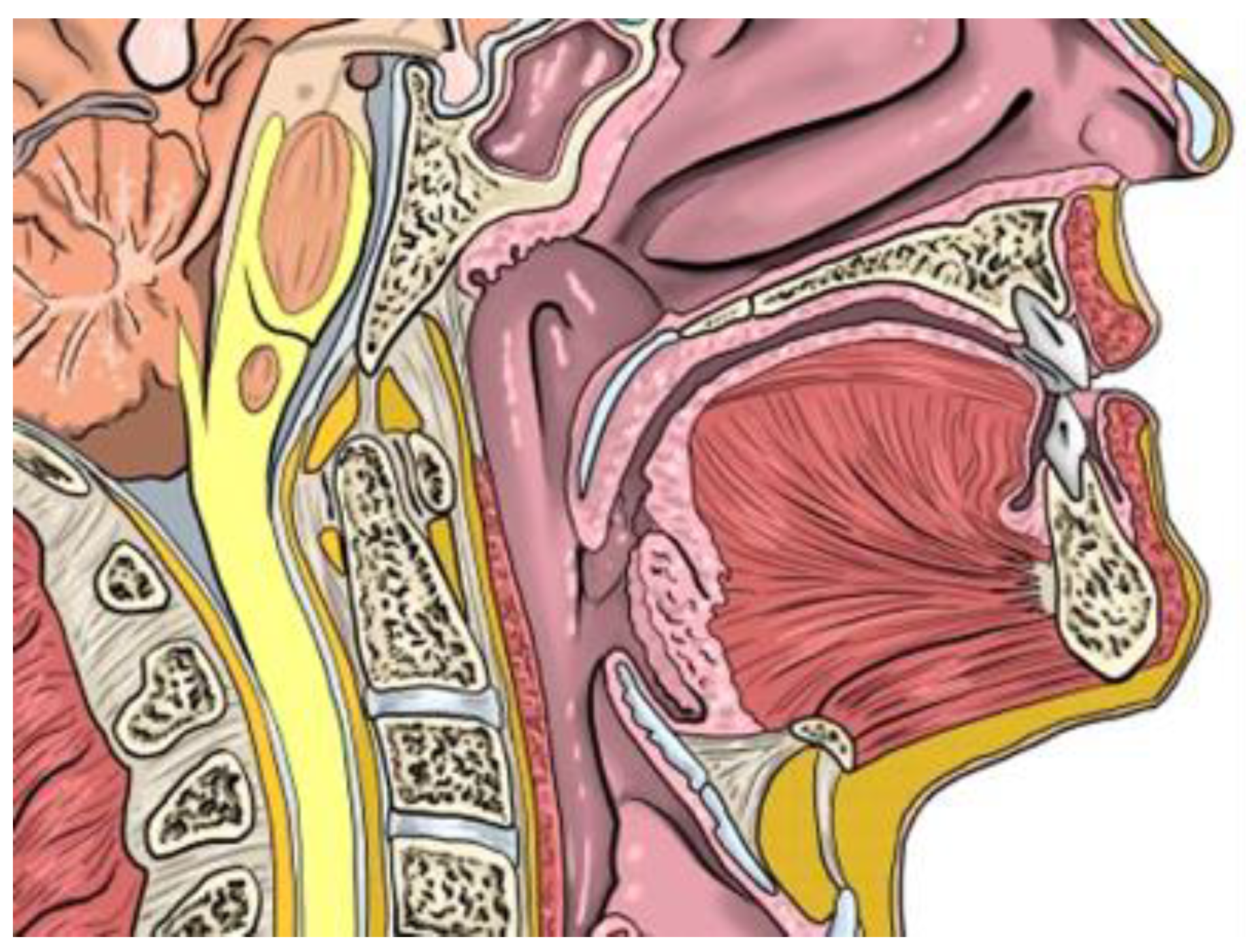 Jcm 12 00201 g002 Jcm 12 00201 g002