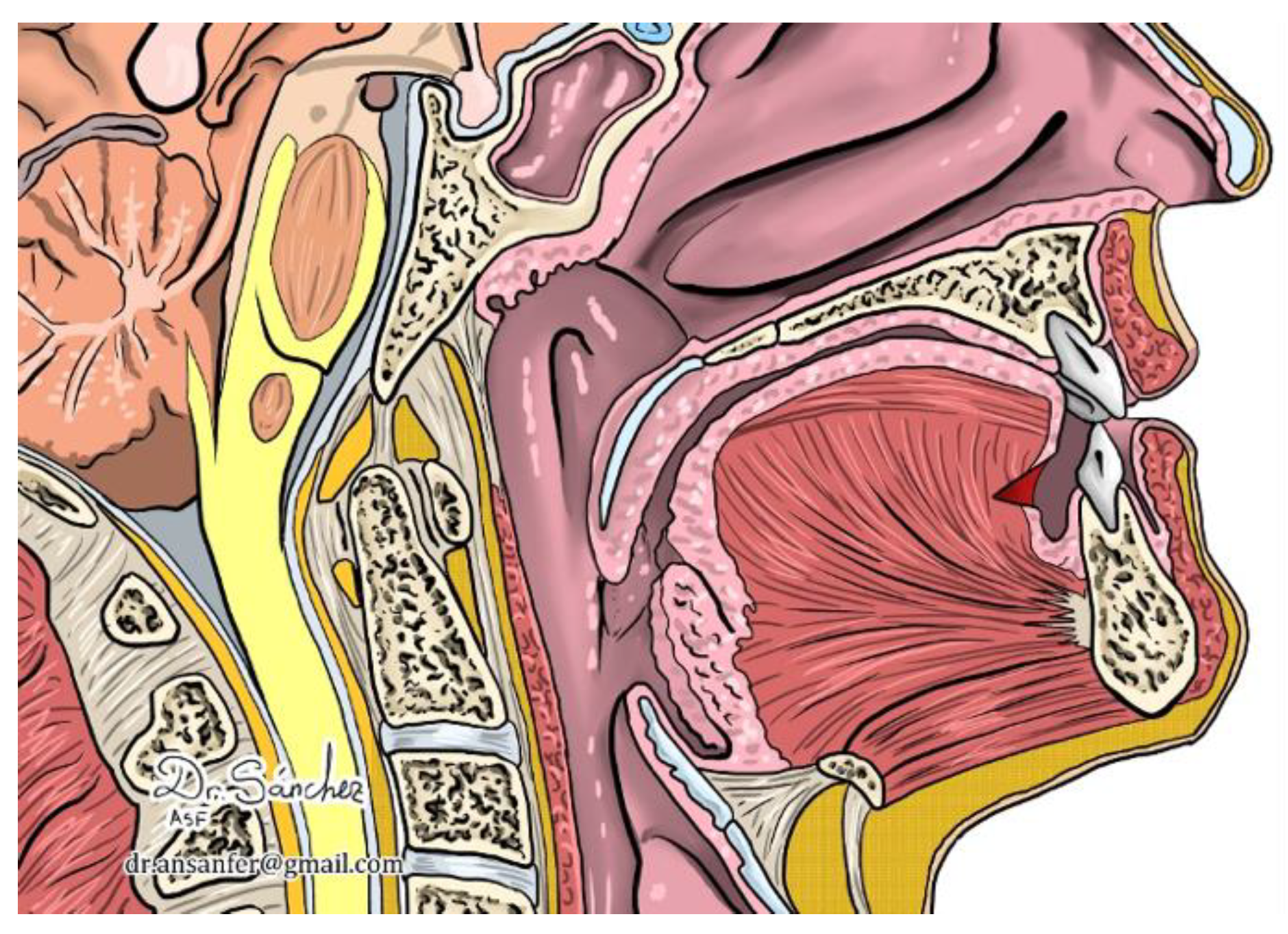 Jcm 12 00201 g004 Jcm 12 00201 g004