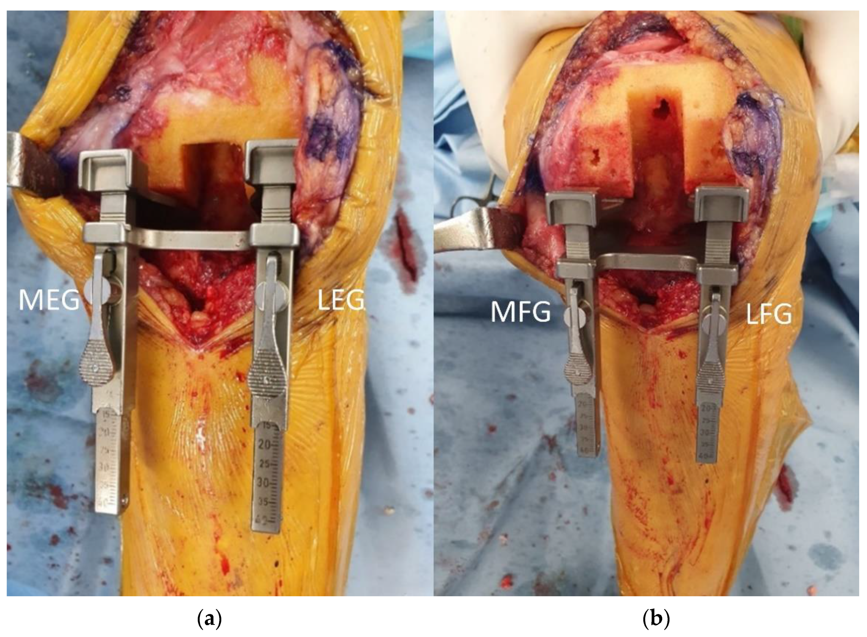 Jcm 12 00263 g002 Jcm 12 00263 g002