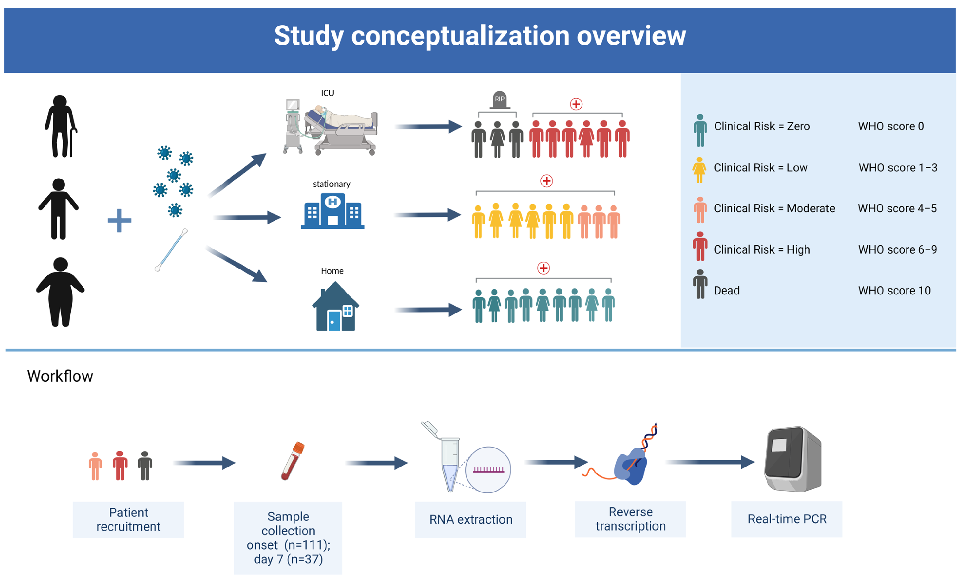 Jcm 12 00283 g001 Jcm 12 00283 g001