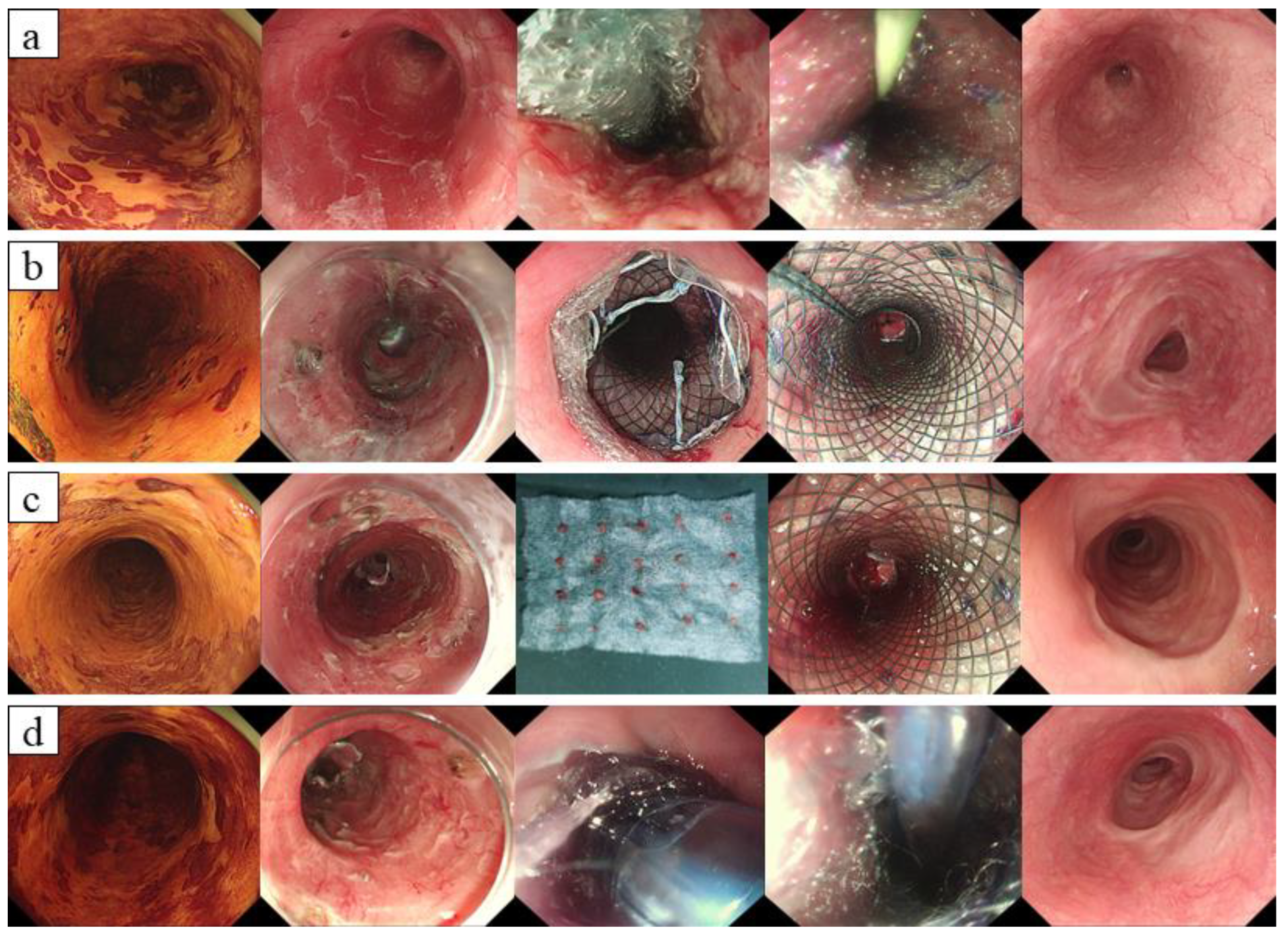 Jcm 12 00471 g003 Jcm 12 00471 g003