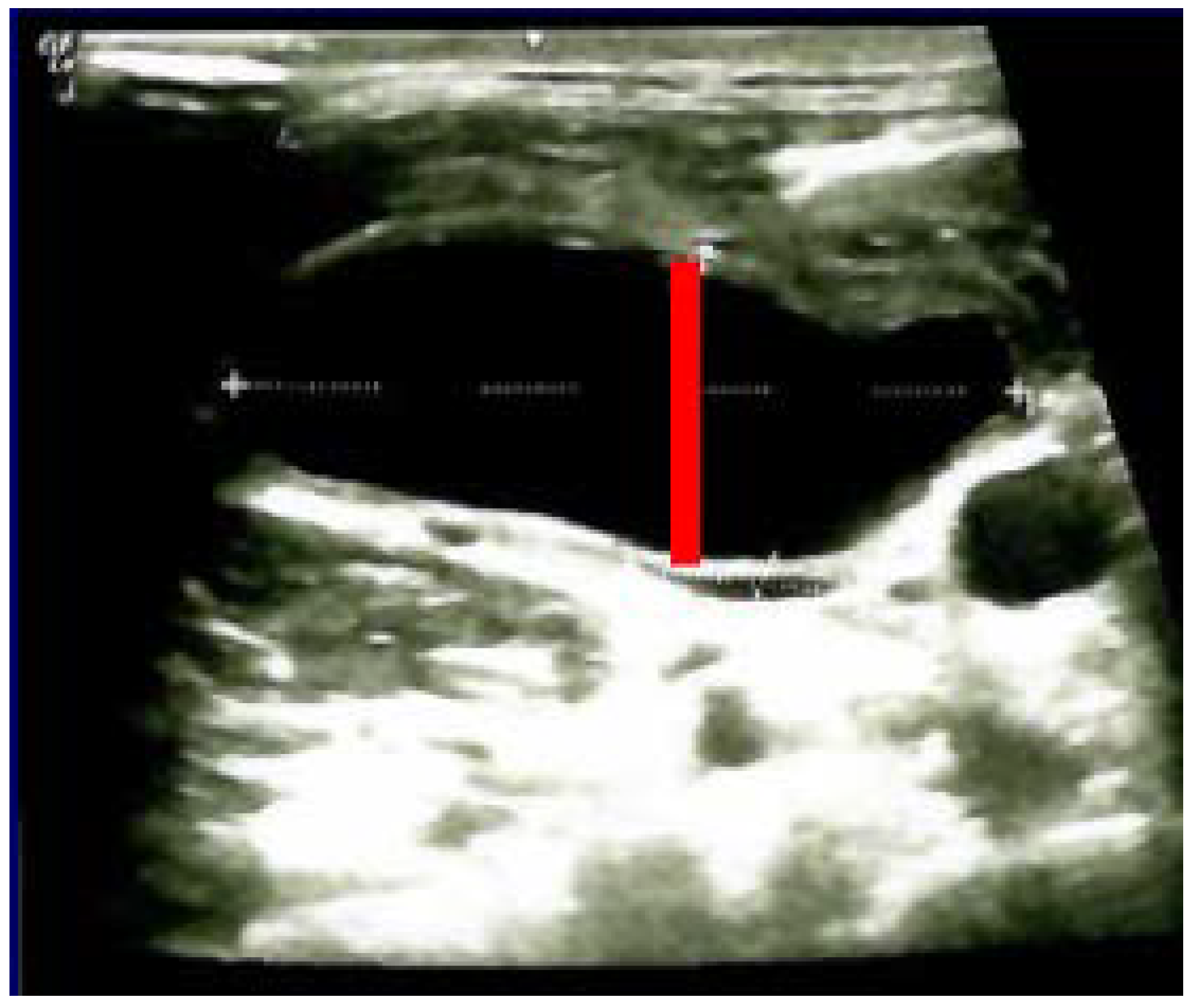 Jcm 12 00474 g002 Jcm 12 00474 g002