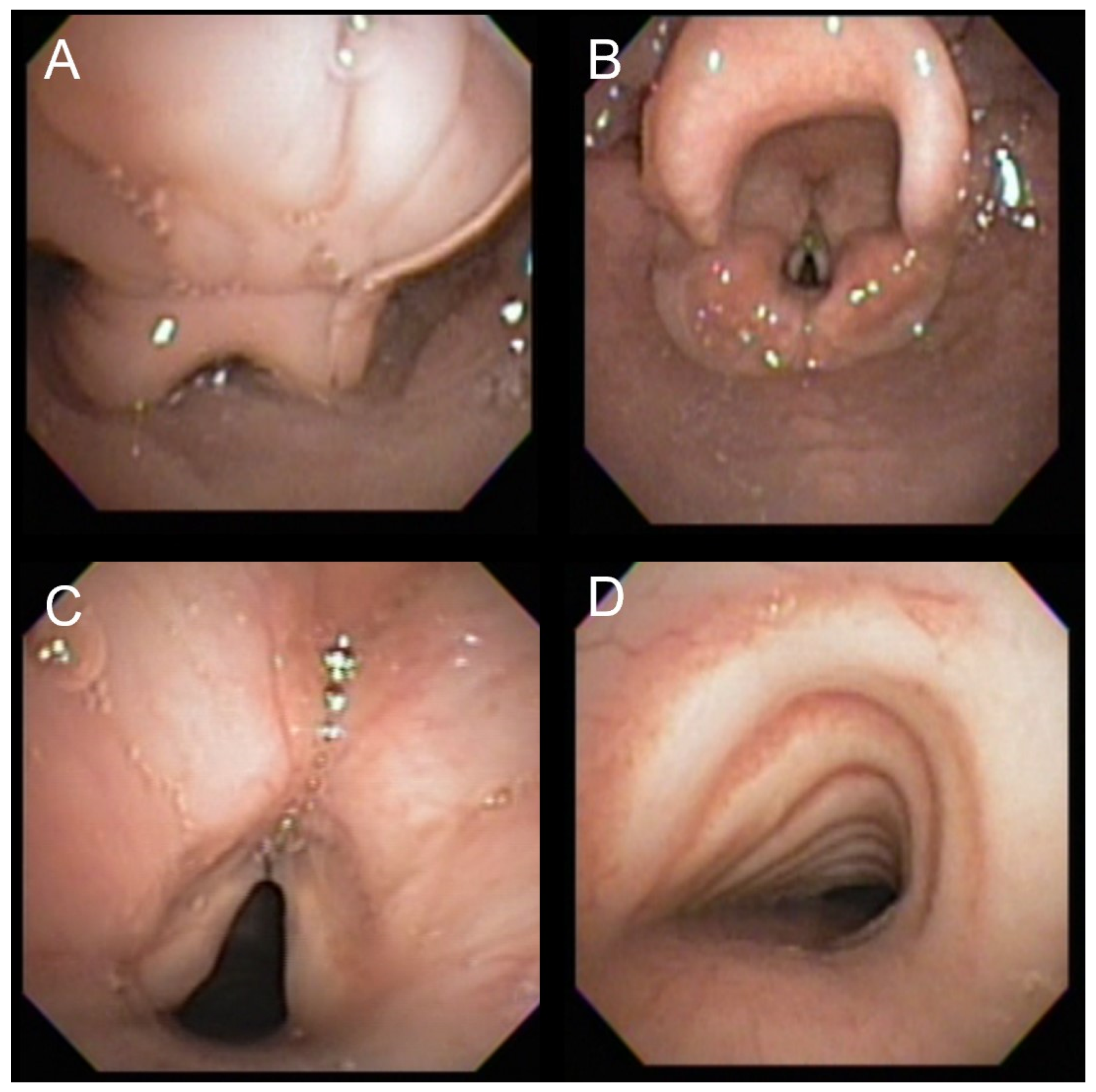 Jcm 12 00480 g001 Jcm 12 00480 g001