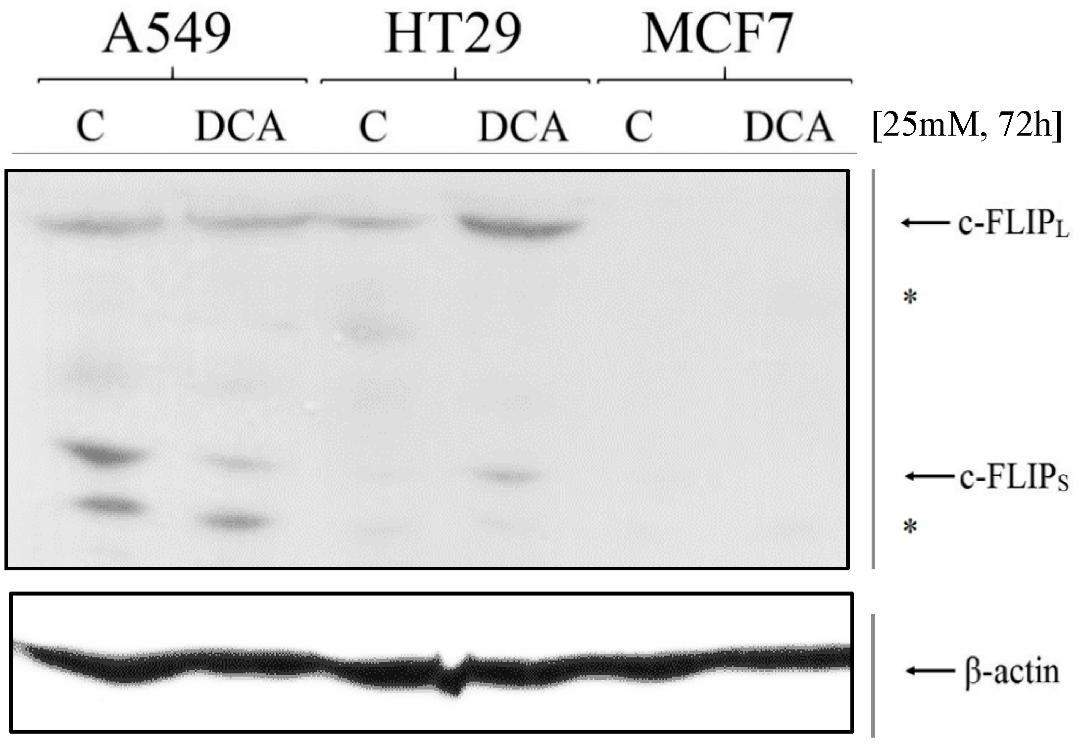 Jcm 12 00608 g004 Jcm 12 00608 g004