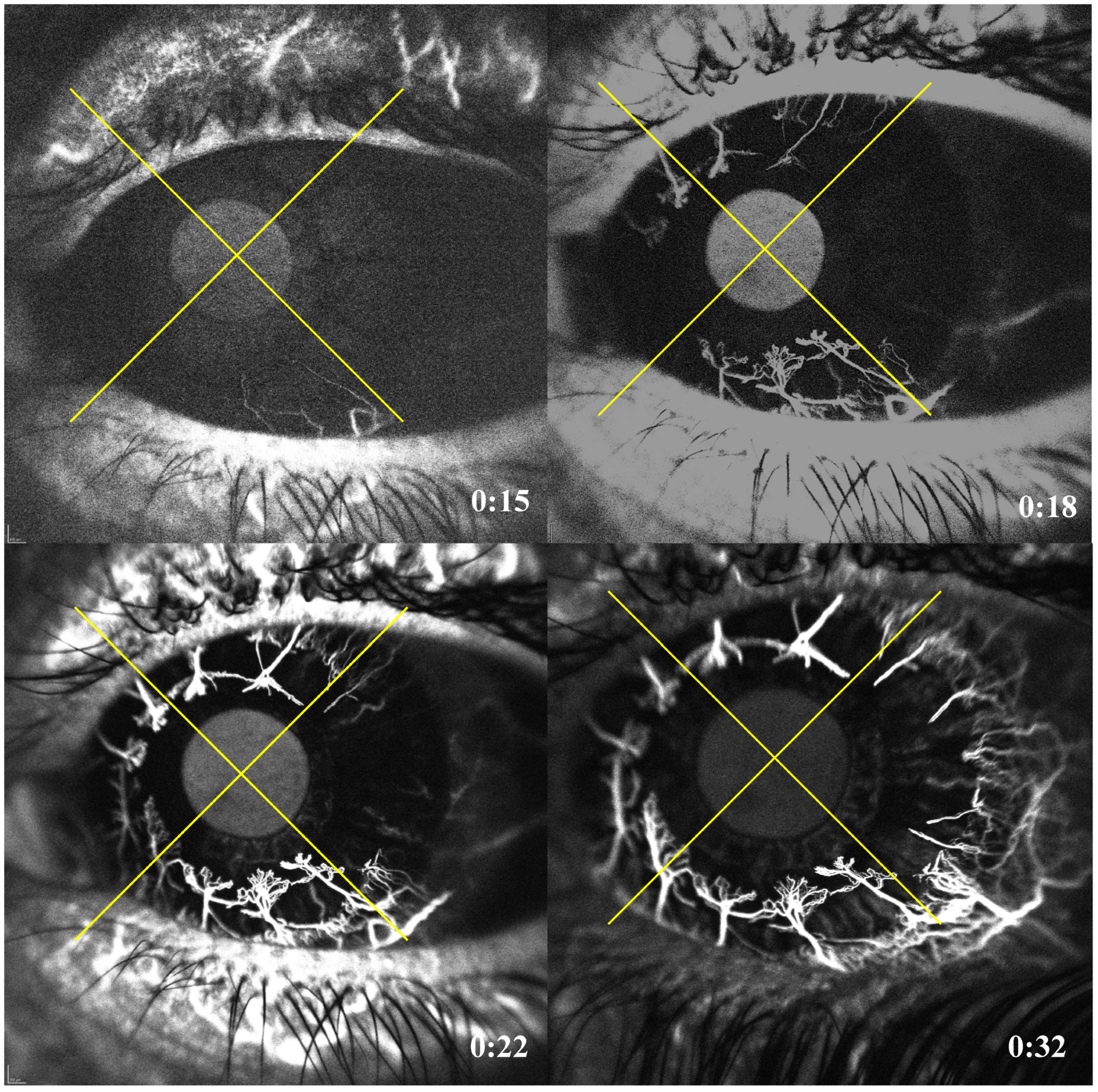 Jcm 12 00633 g002 Jcm 12 00633 g002