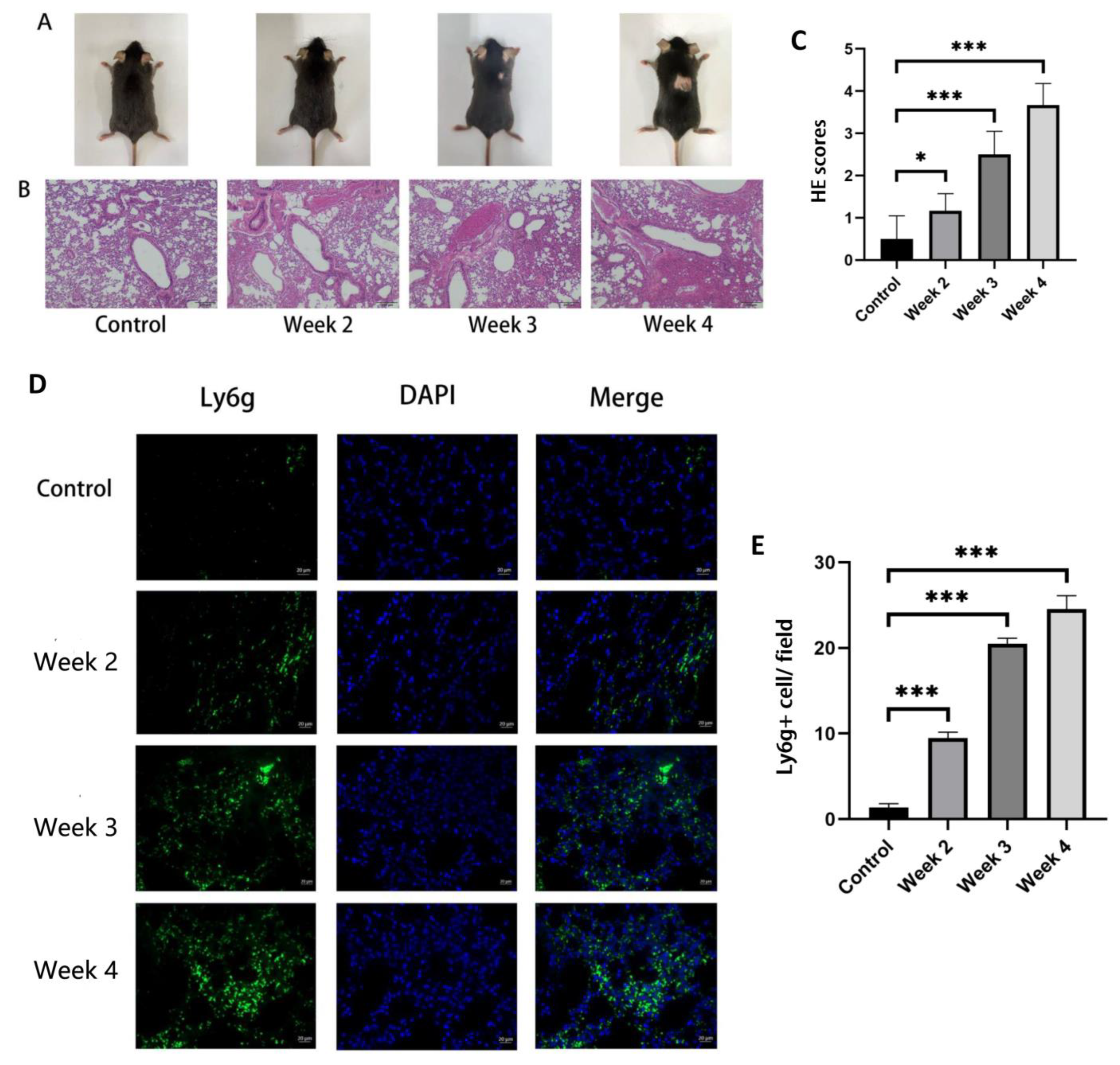 Jcm 12 00733 g004 Jcm 12 00733 g004