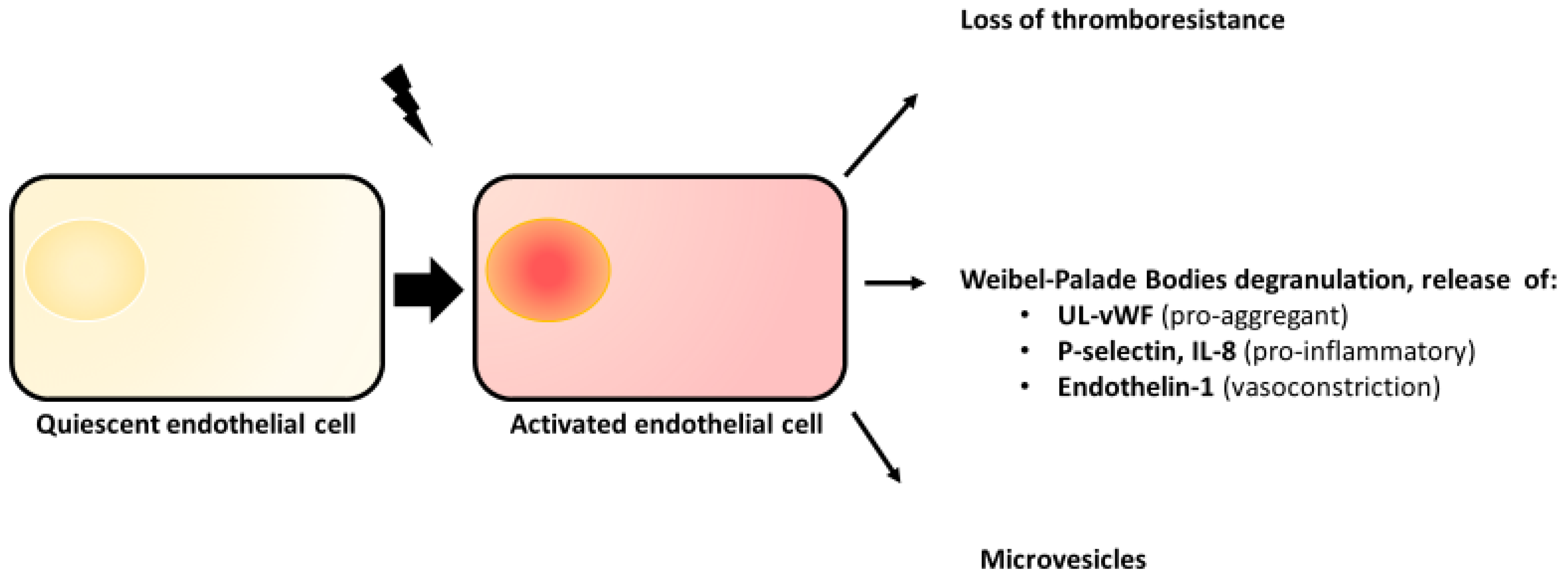 Jcm 12 00758 g001 Jcm 12 00758 g001