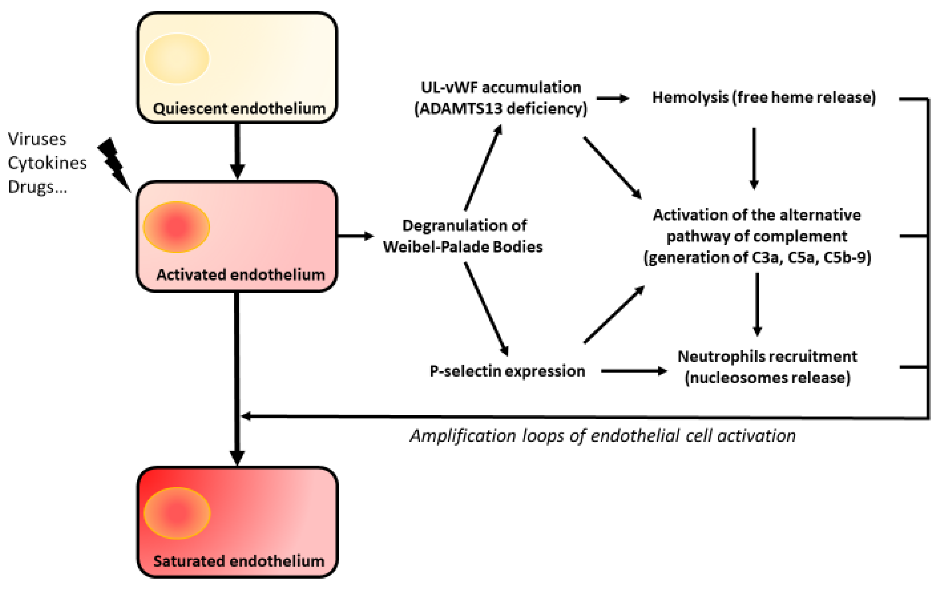 Jcm 12 00758 g002 Jcm 12 00758 g002