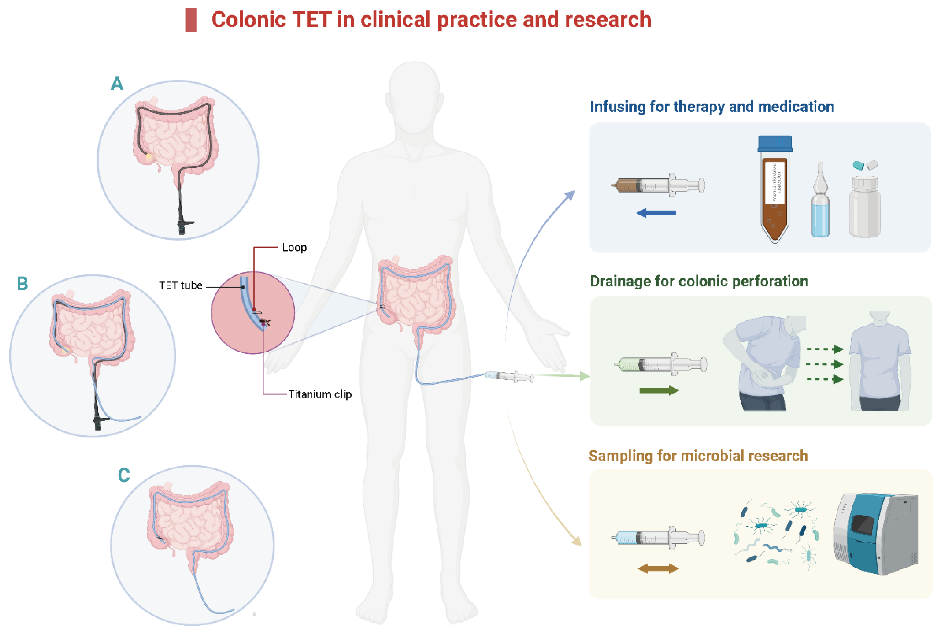 Jcm 12 00780 g001 Jcm 12 00780 g001