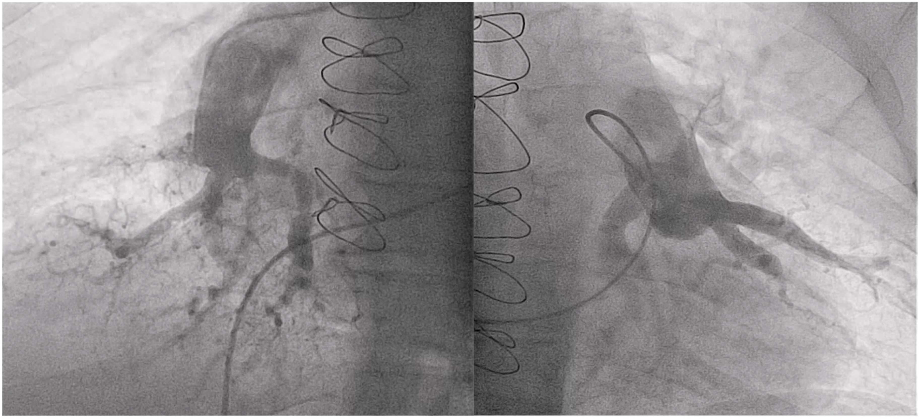 Jcm 12 00905 g004 Jcm 12 00905 g004