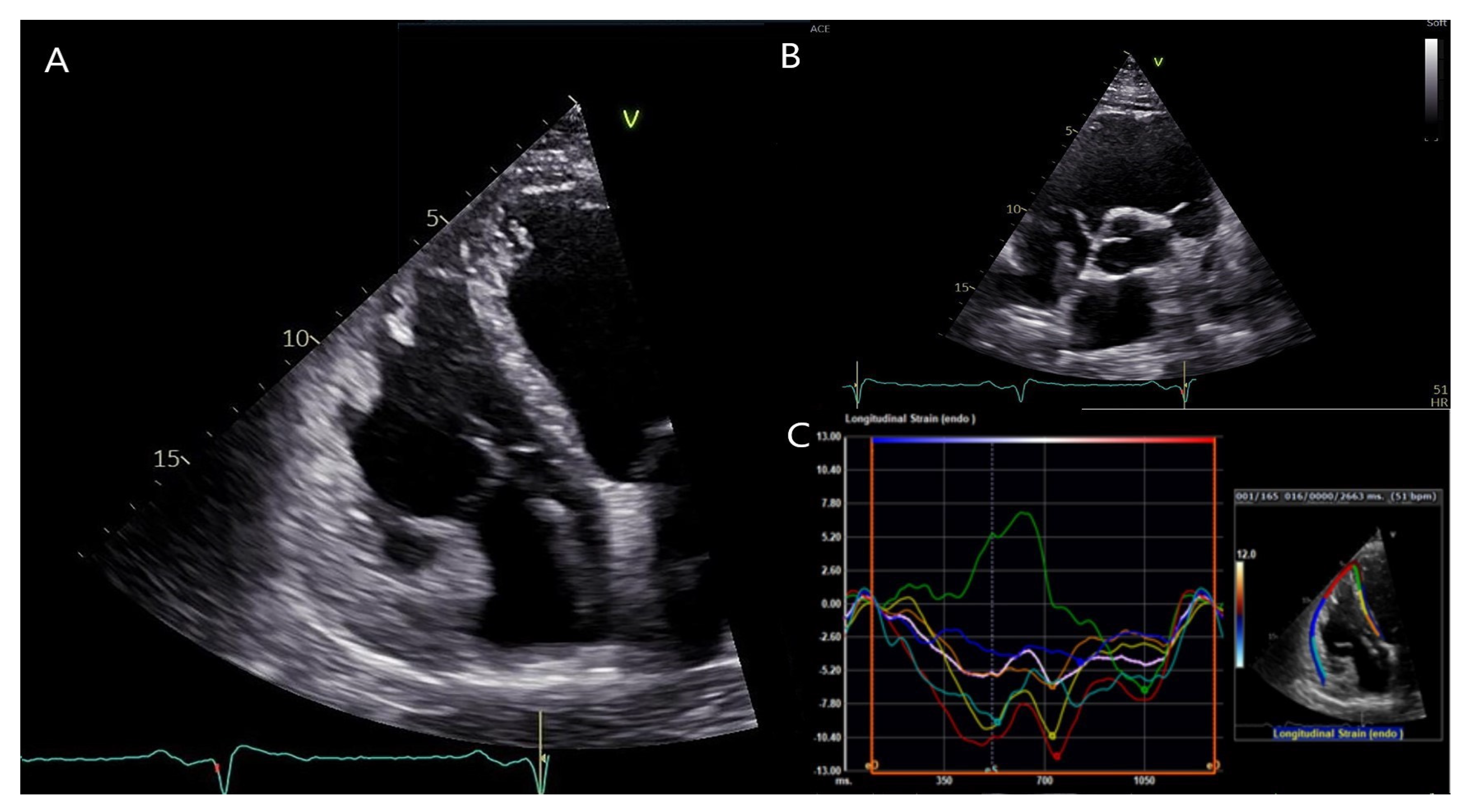 Jcm 12 00913 g004 Jcm 12 00913 g004
