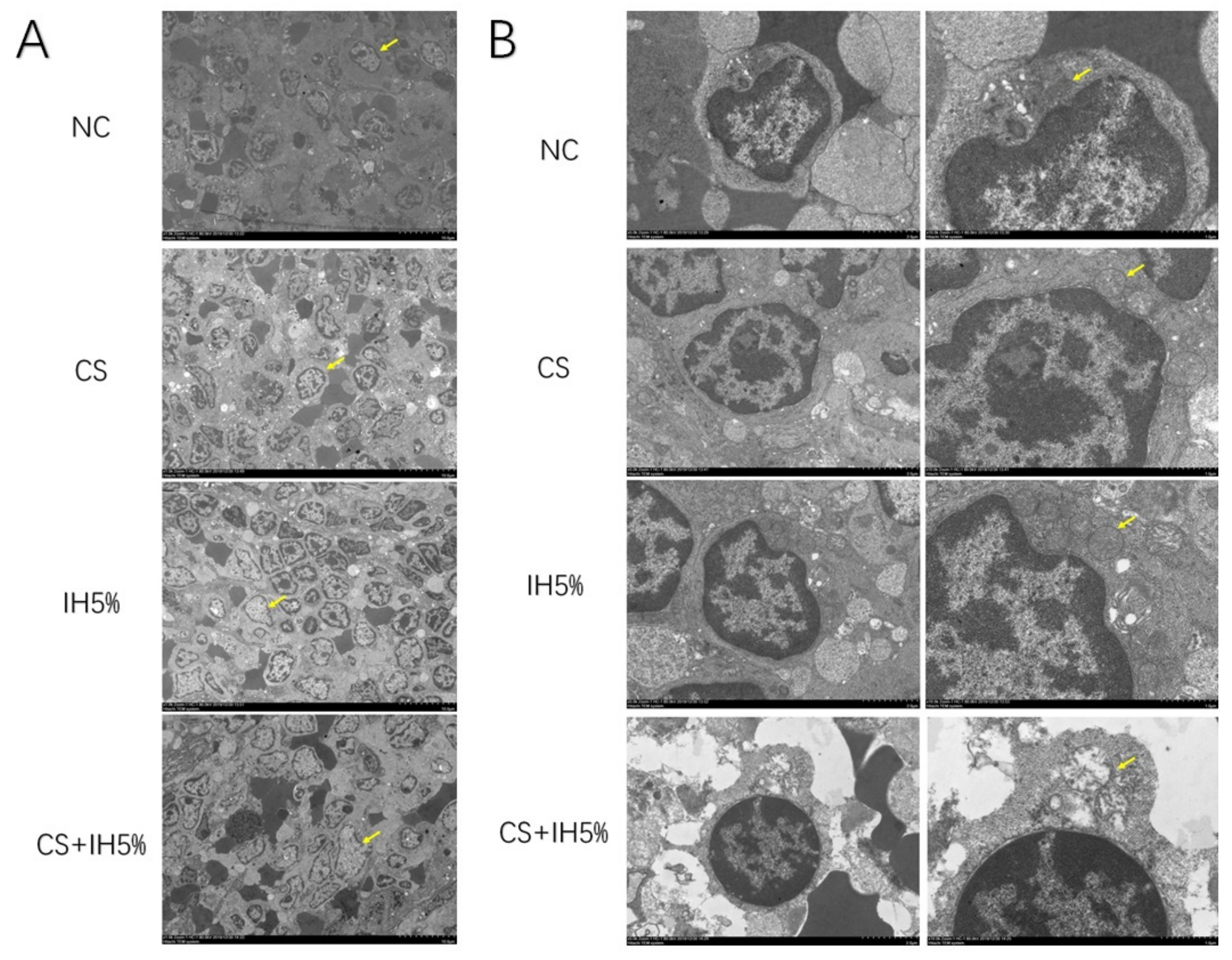 Jcm 12 00936 g006 Jcm 12 00936 g006