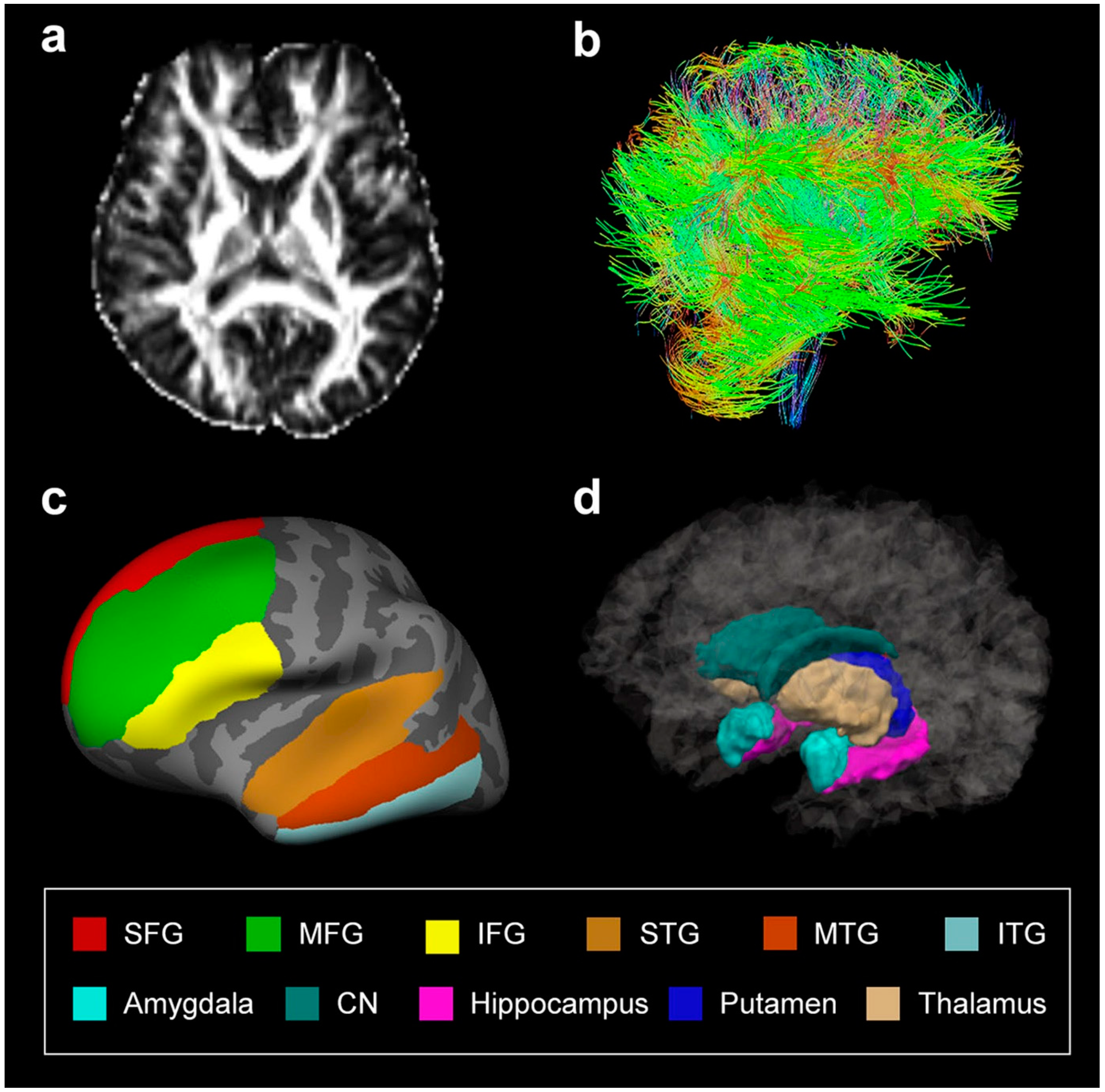 Jcm 12 00967 g001 Jcm 12 00967 g001
