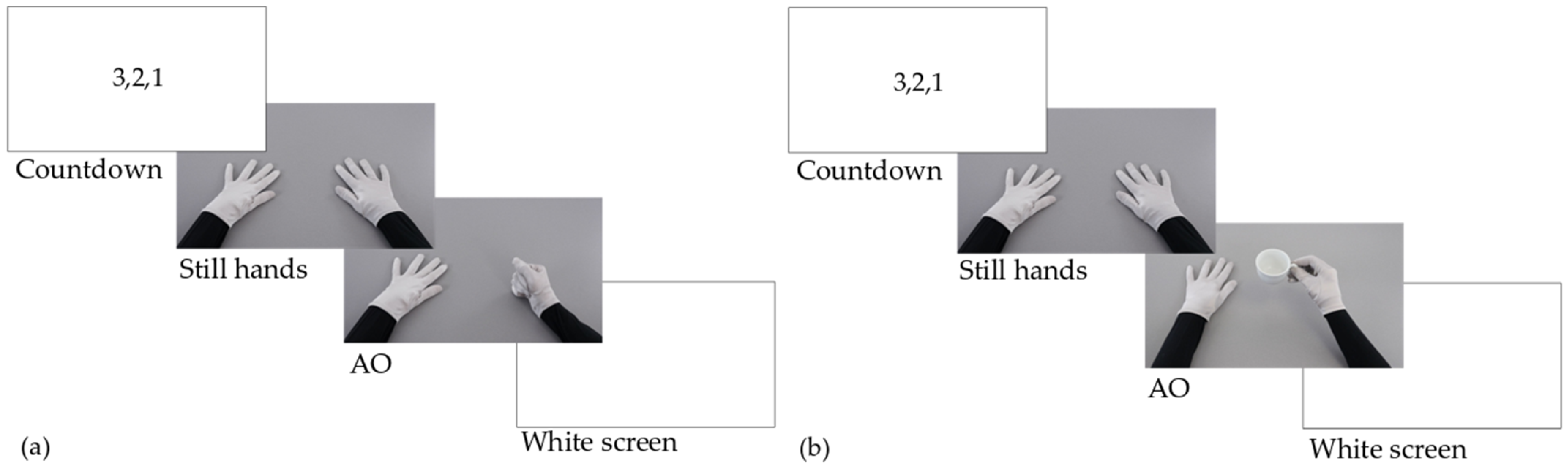 Jcm 12 01327 g002 Jcm 12 01327 g002