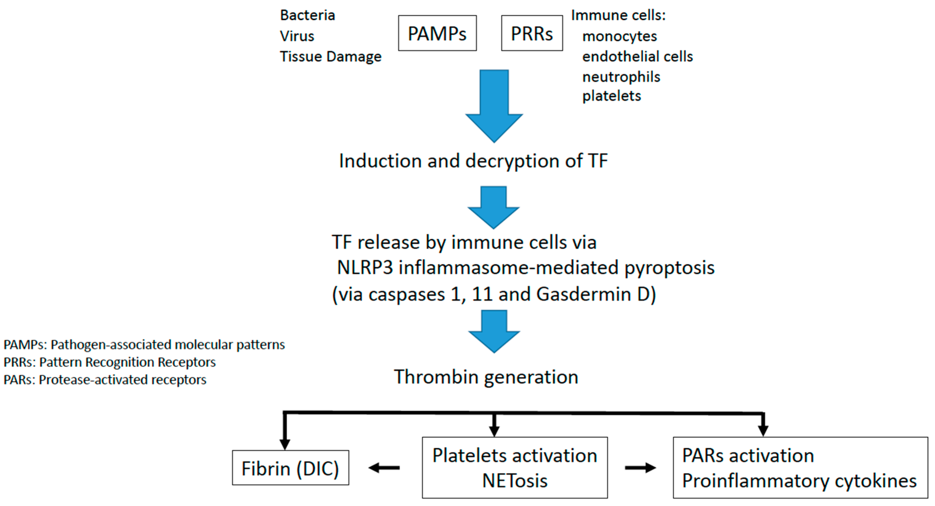 Jcm 12 01399 g001 Jcm 12 01399 g001