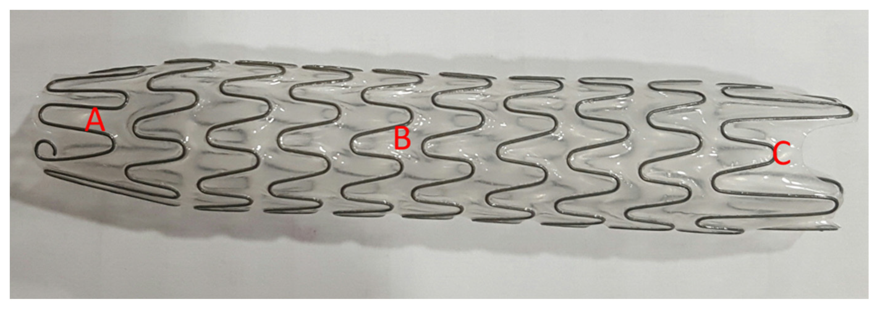 Jcm 12 01741 g002 Jcm 12 01741 g002