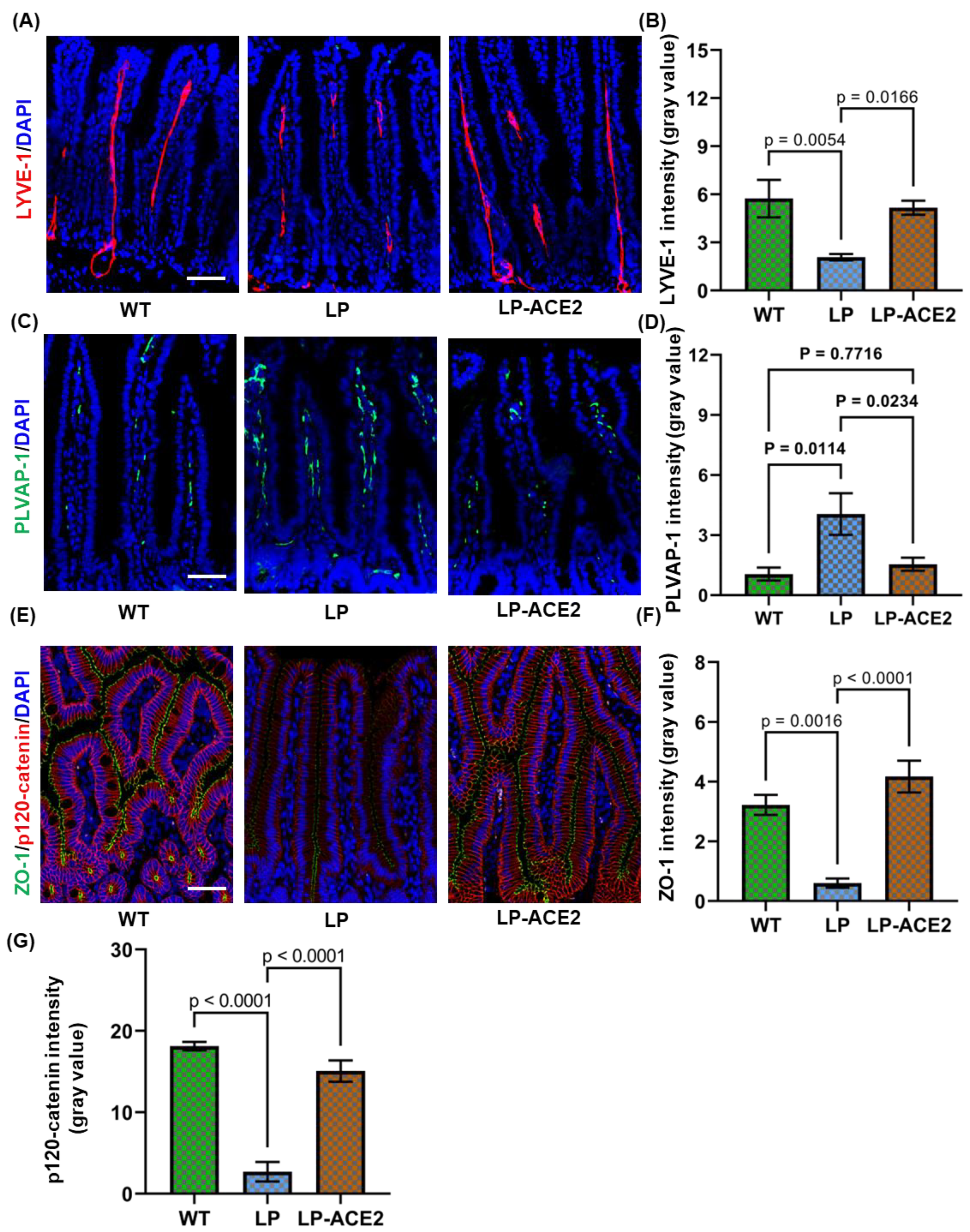 Jcm 12 01771 g001 Jcm 12 01771 g001