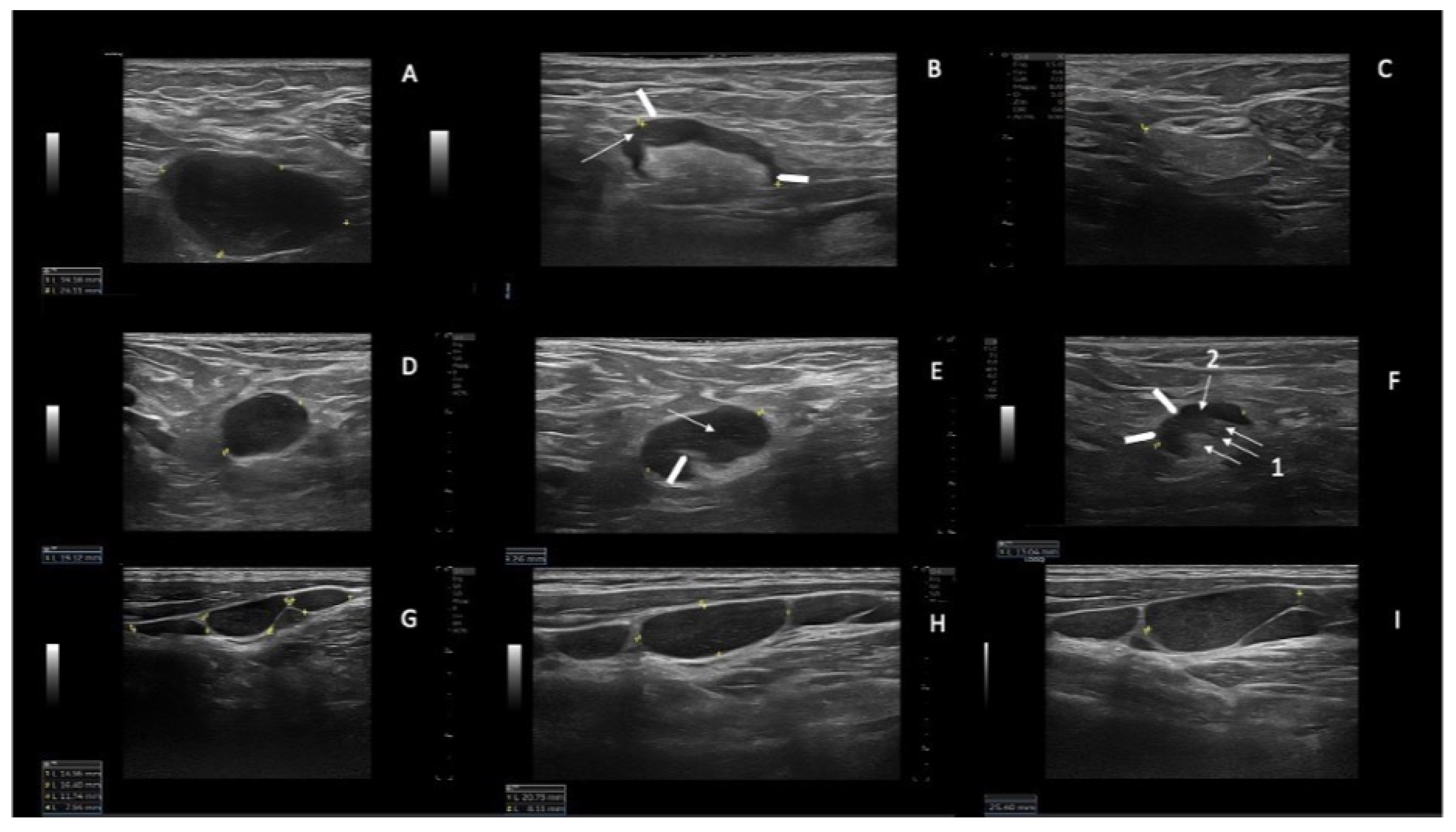 Jcm 12 01772 g001 Jcm 12 01772 g001