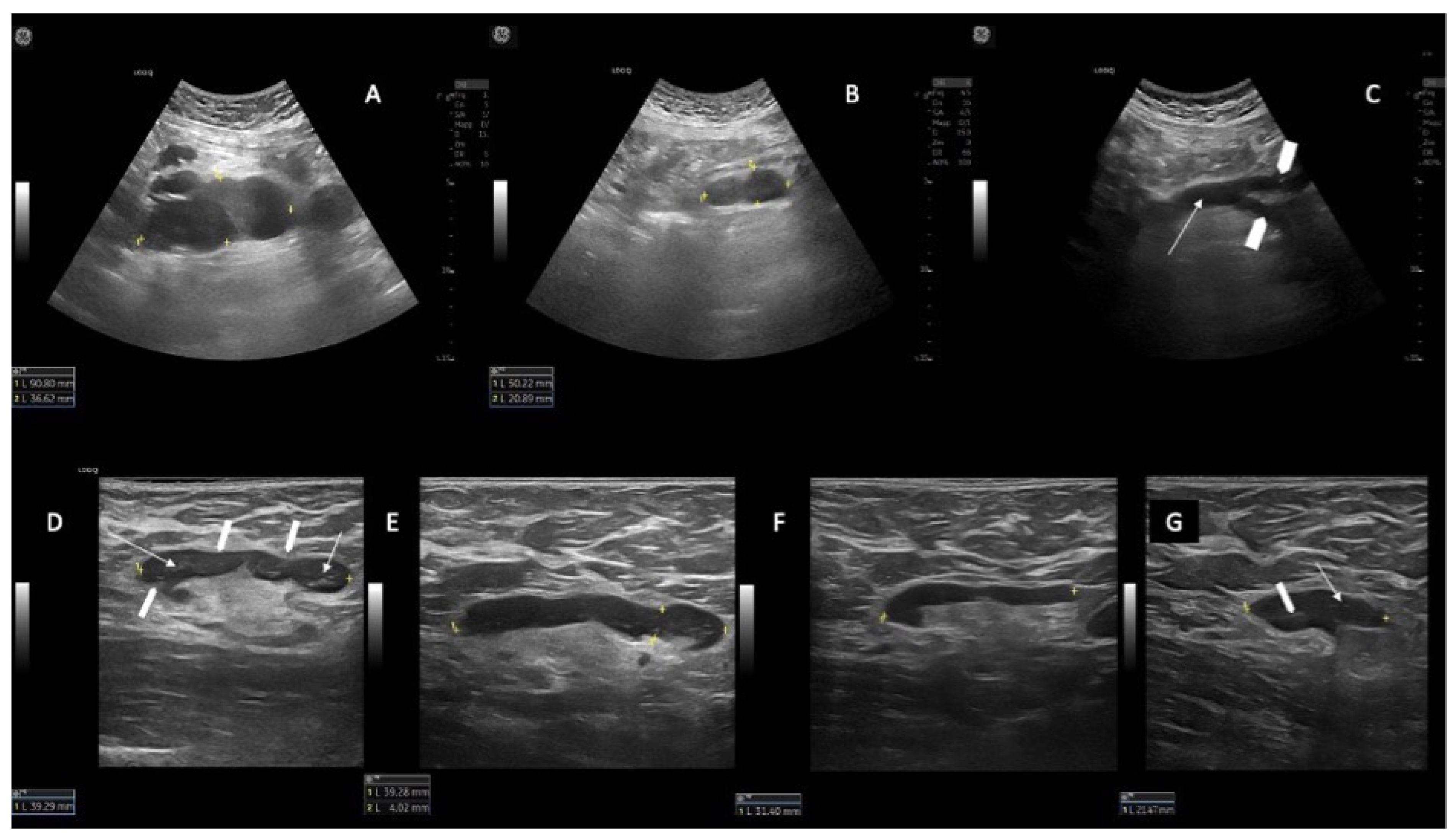 Jcm 12 01772 g002 Jcm 12 01772 g002