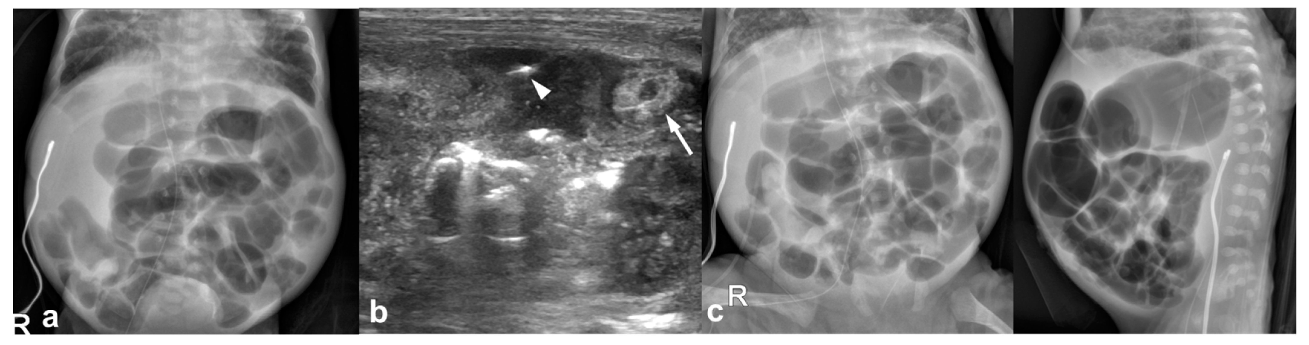 Jcm 12 01805 g001 Jcm 12 01805 g001