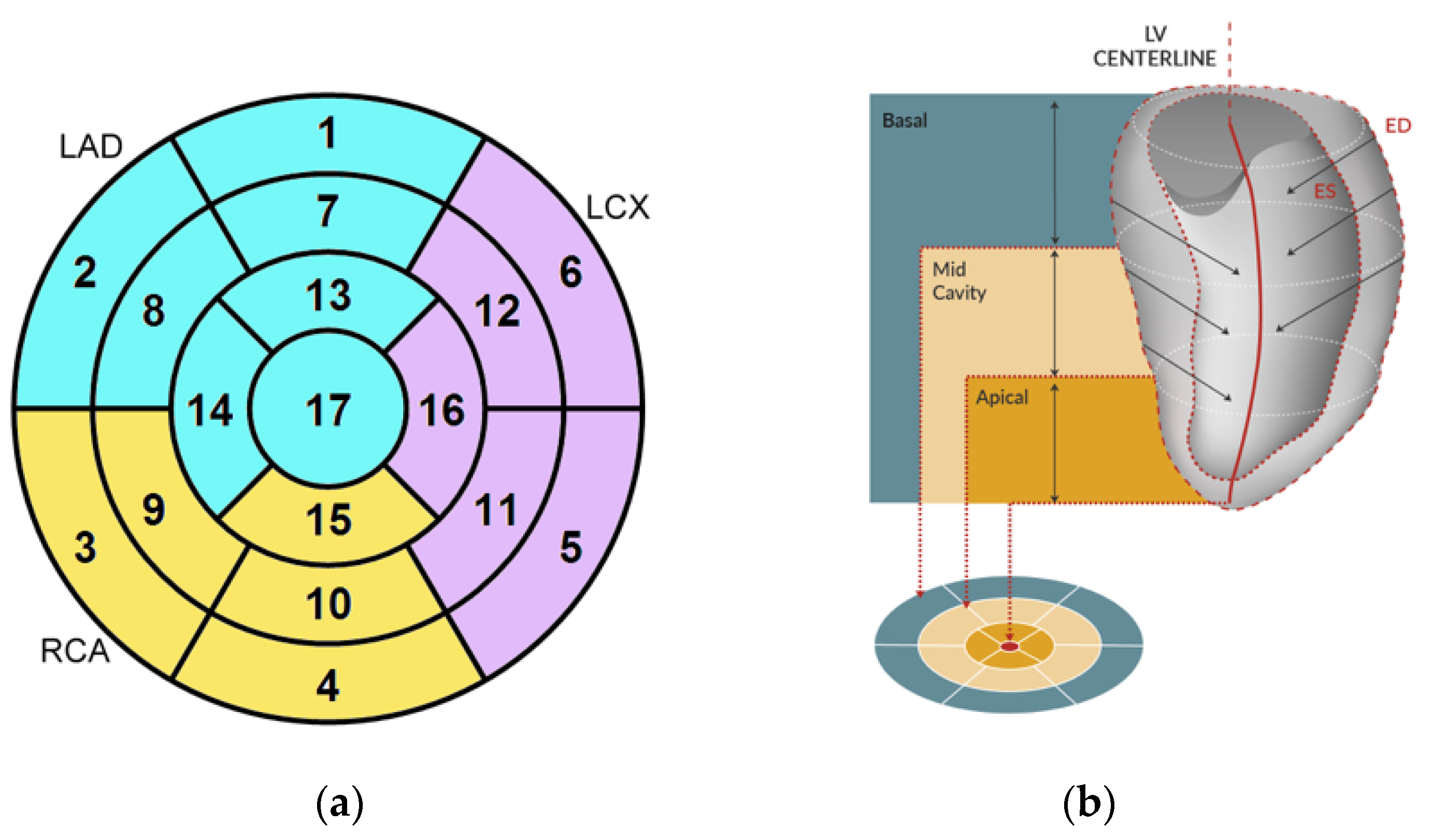 Jcm 12 01997 g002 Jcm 12 01997 g002