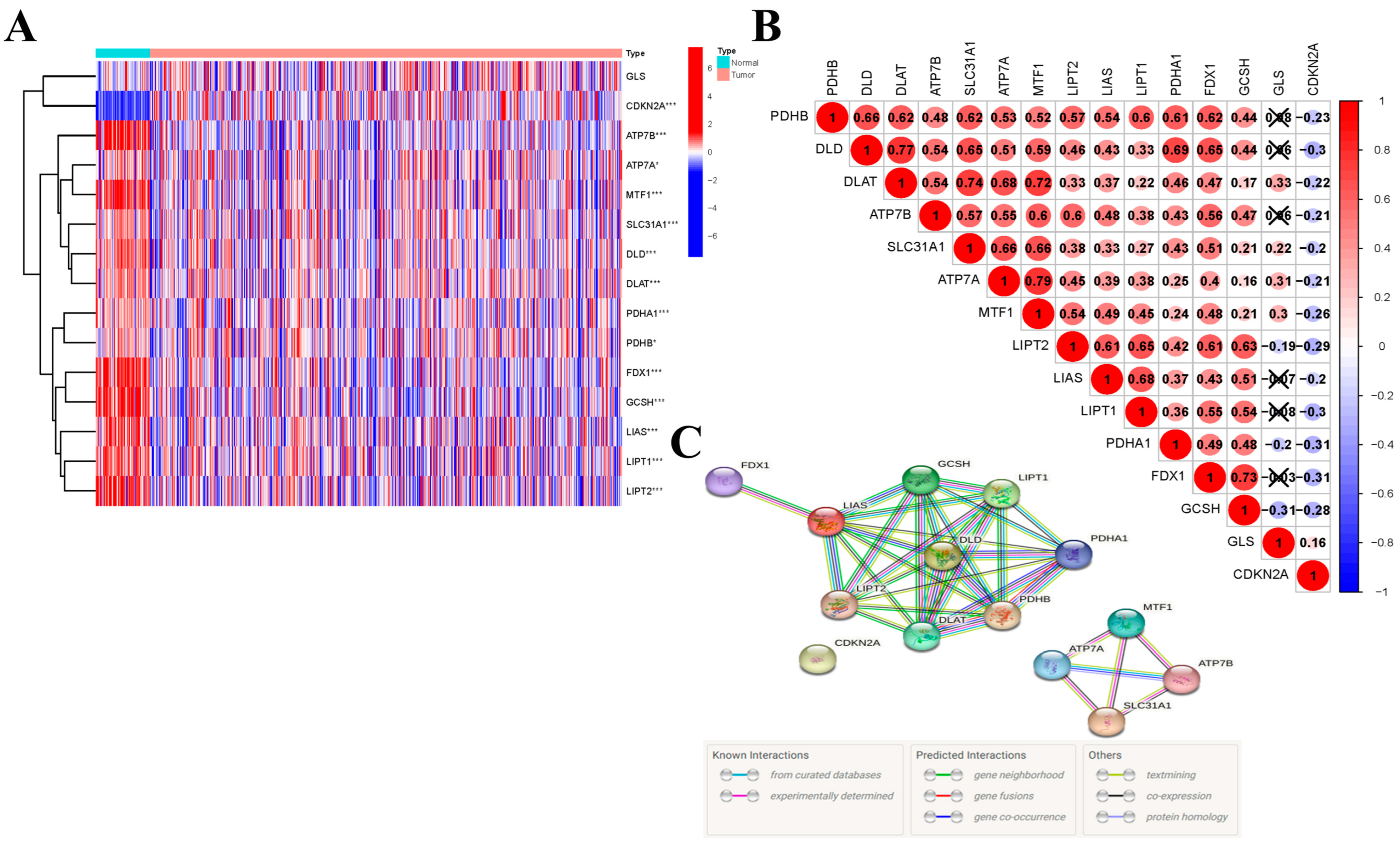 Jcm 12 02014 g001 Jcm 12 02014 g001
