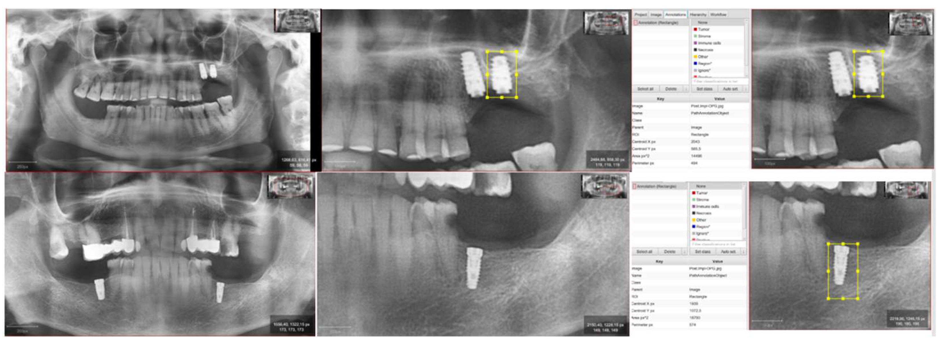 Jcm 12 02244 g001 Jcm 12 02244 g001