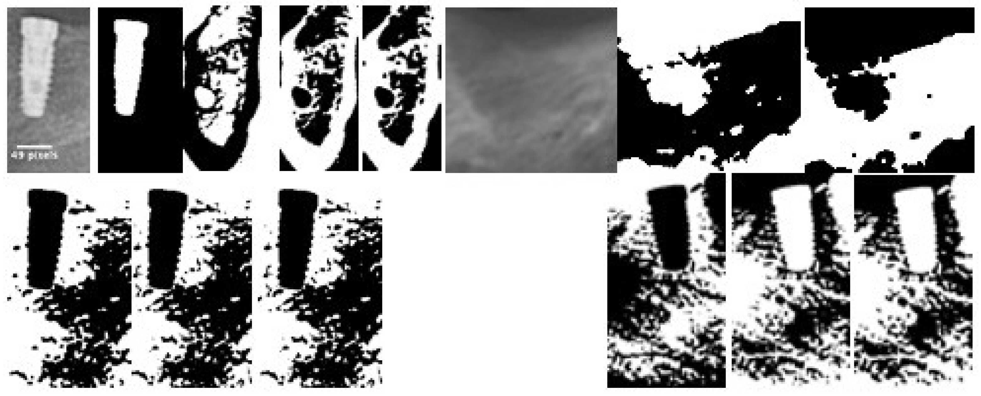 Jcm 12 02244 g002 Jcm 12 02244 g002