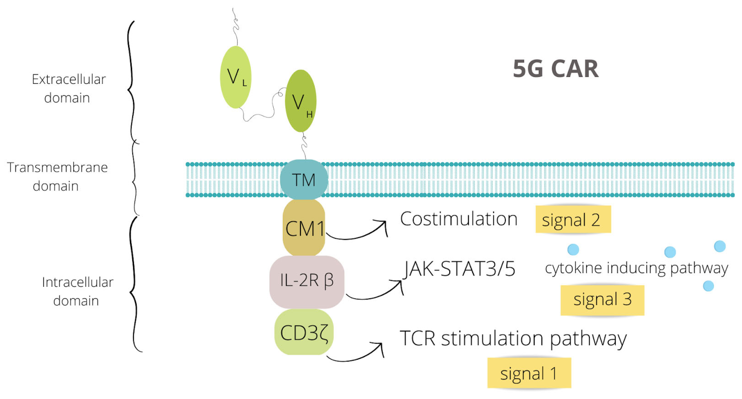 Jcm 12 02326 g002 Jcm 12 02326 g002