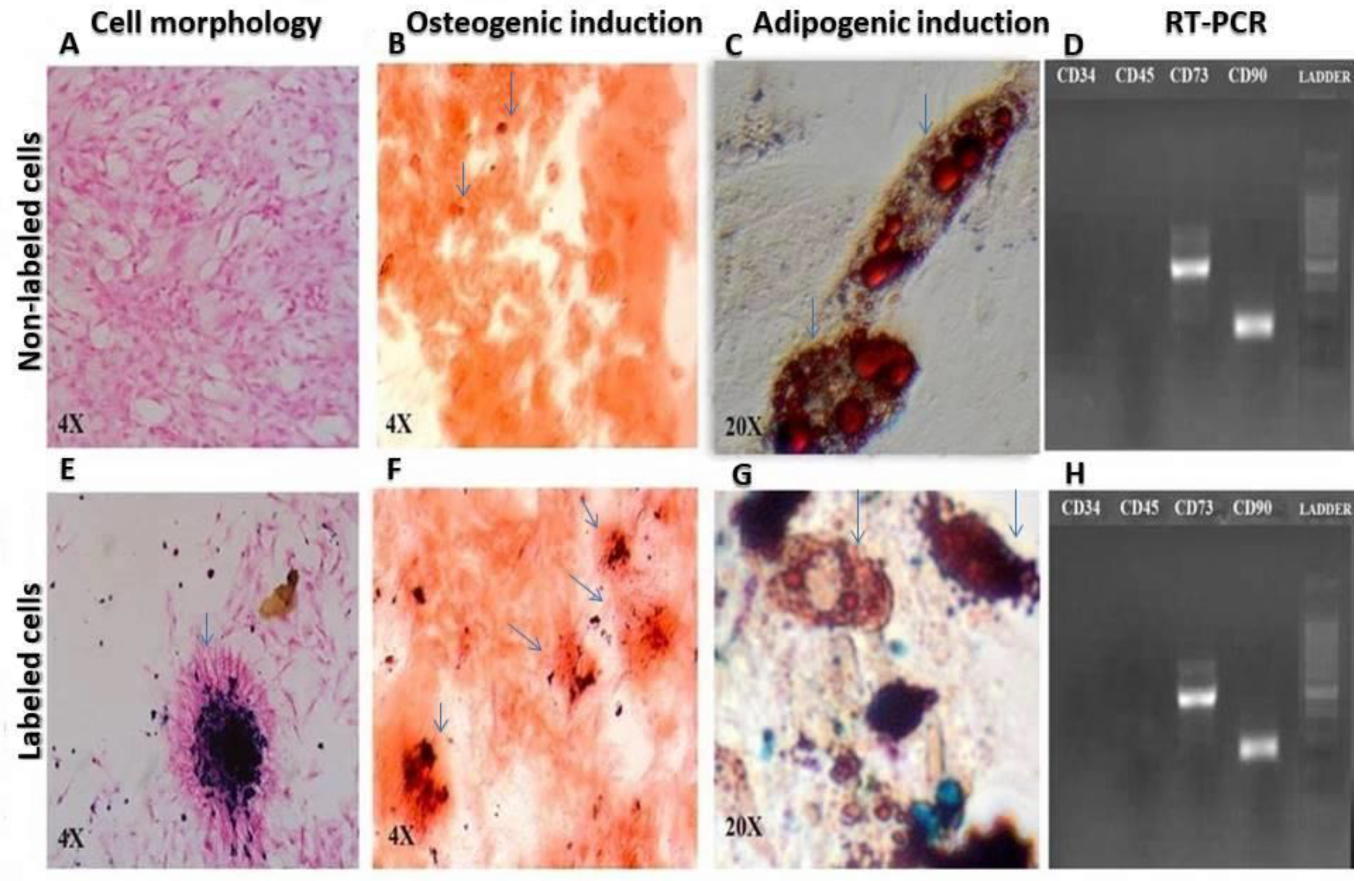 Jcm 12 02395 g001 Jcm 12 02395 g001