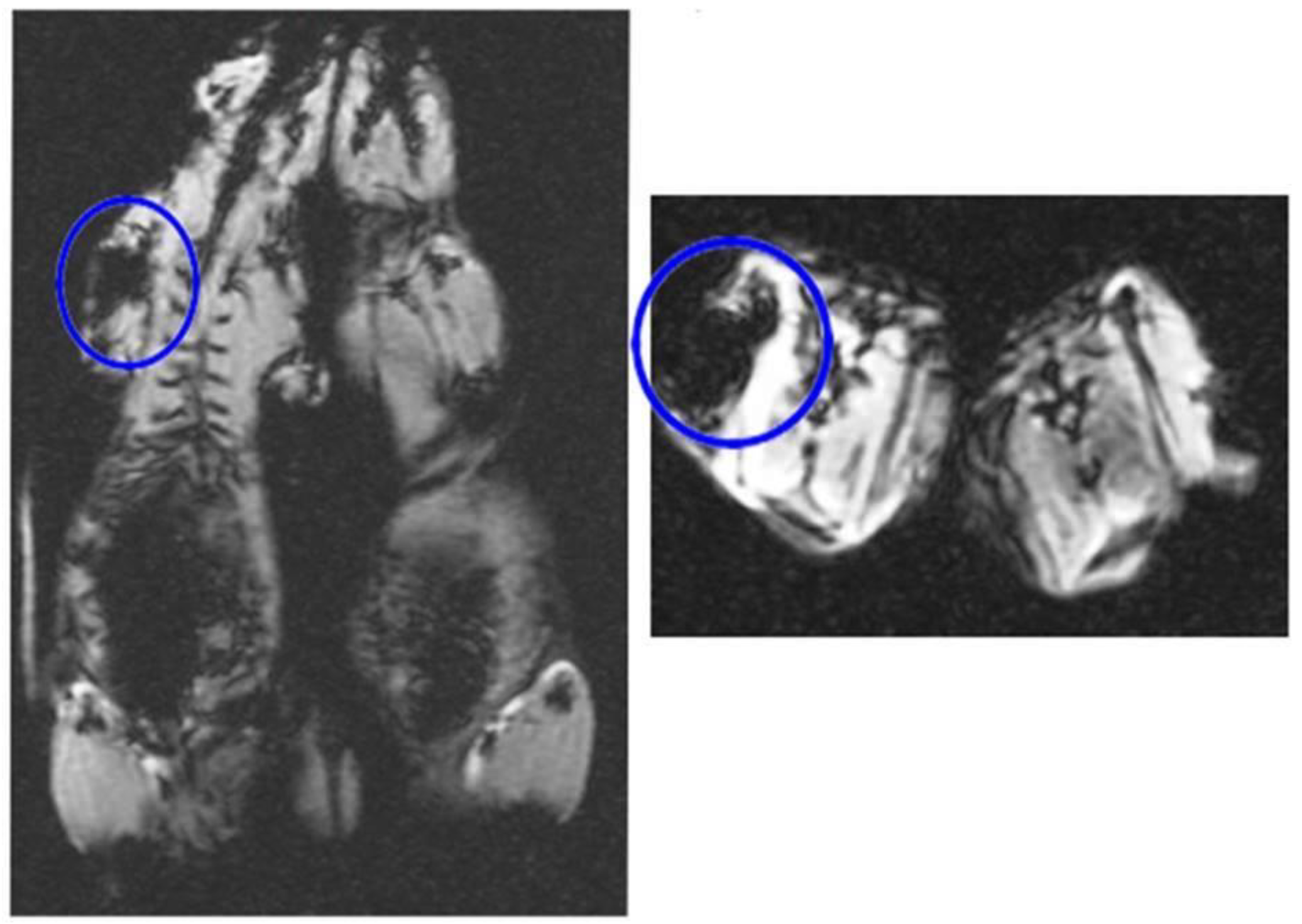Jcm 12 02395 g005 Jcm 12 02395 g005