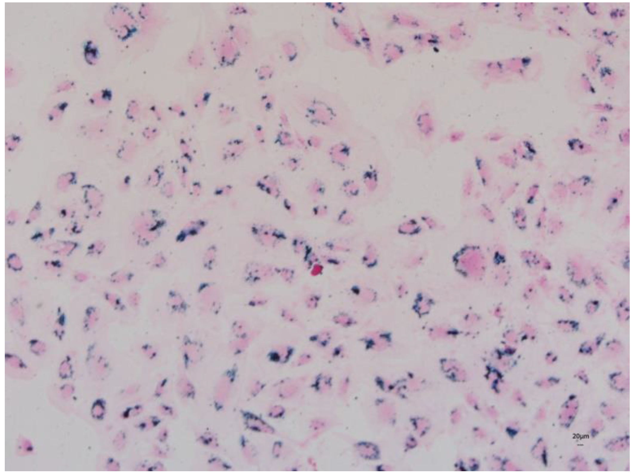 Jcm 12 02395 g006 Jcm 12 02395 g006