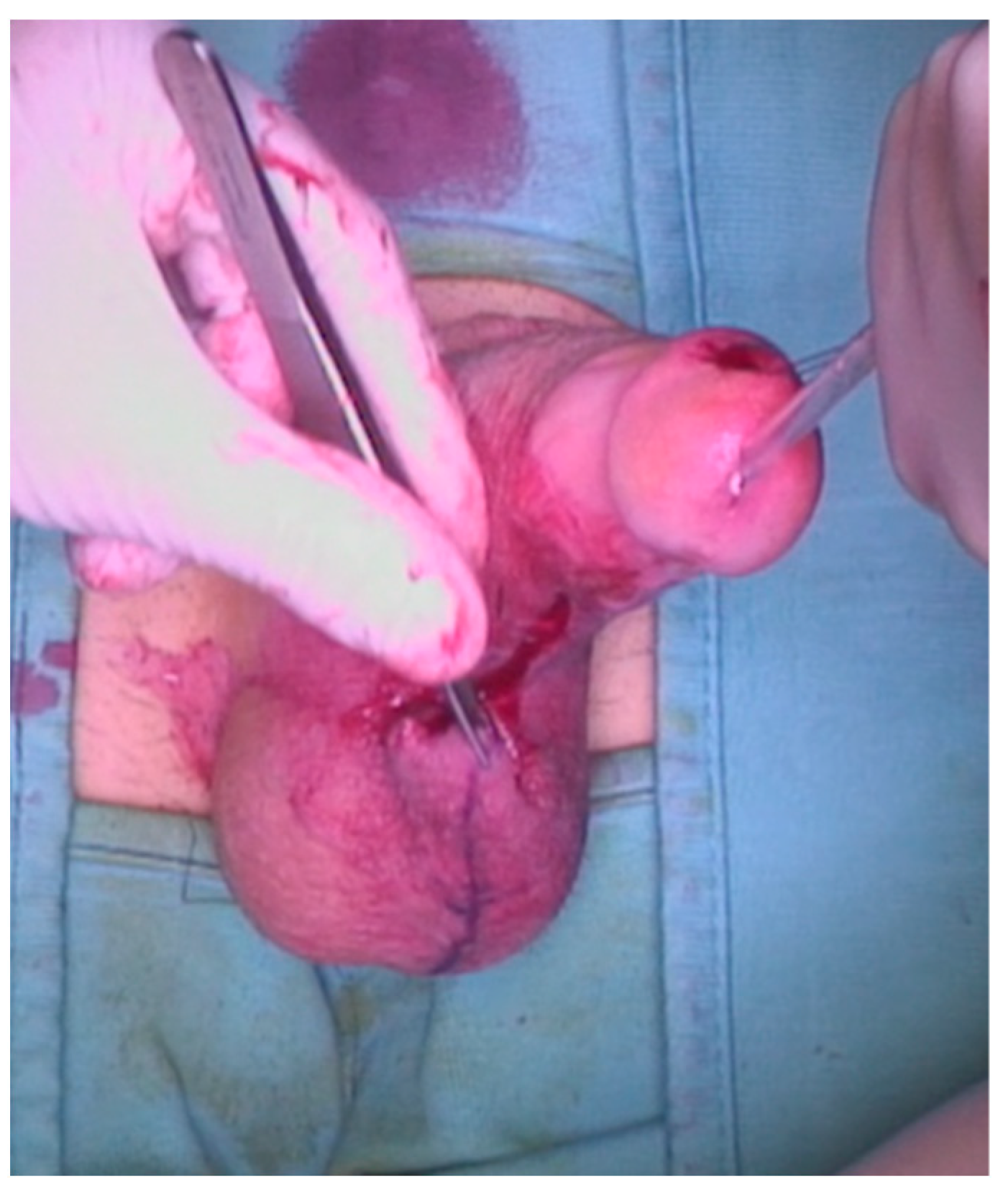 Jcm 12 02604 g007