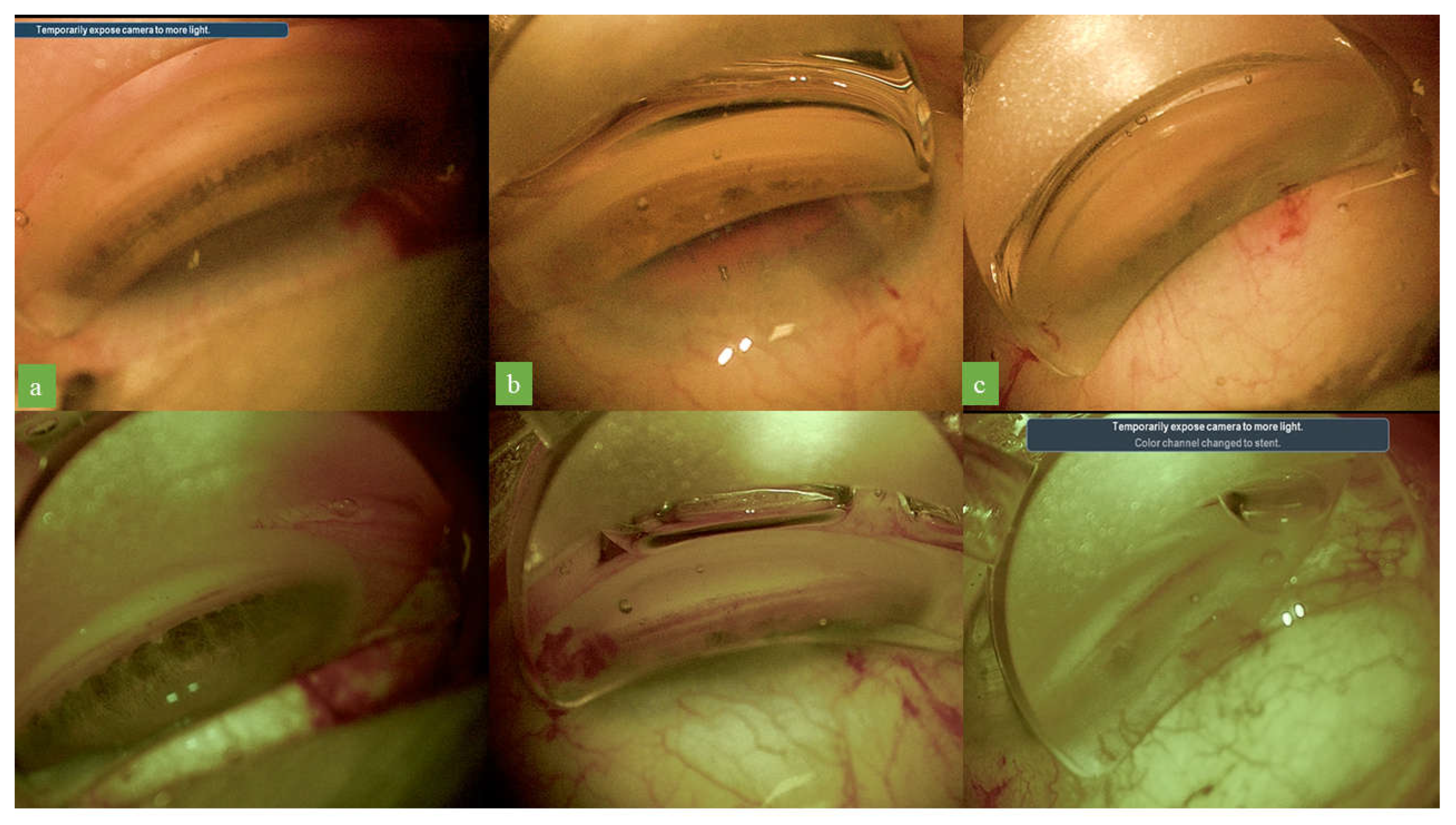 Jcm 12 02794 g002 Jcm 12 02794 g002
