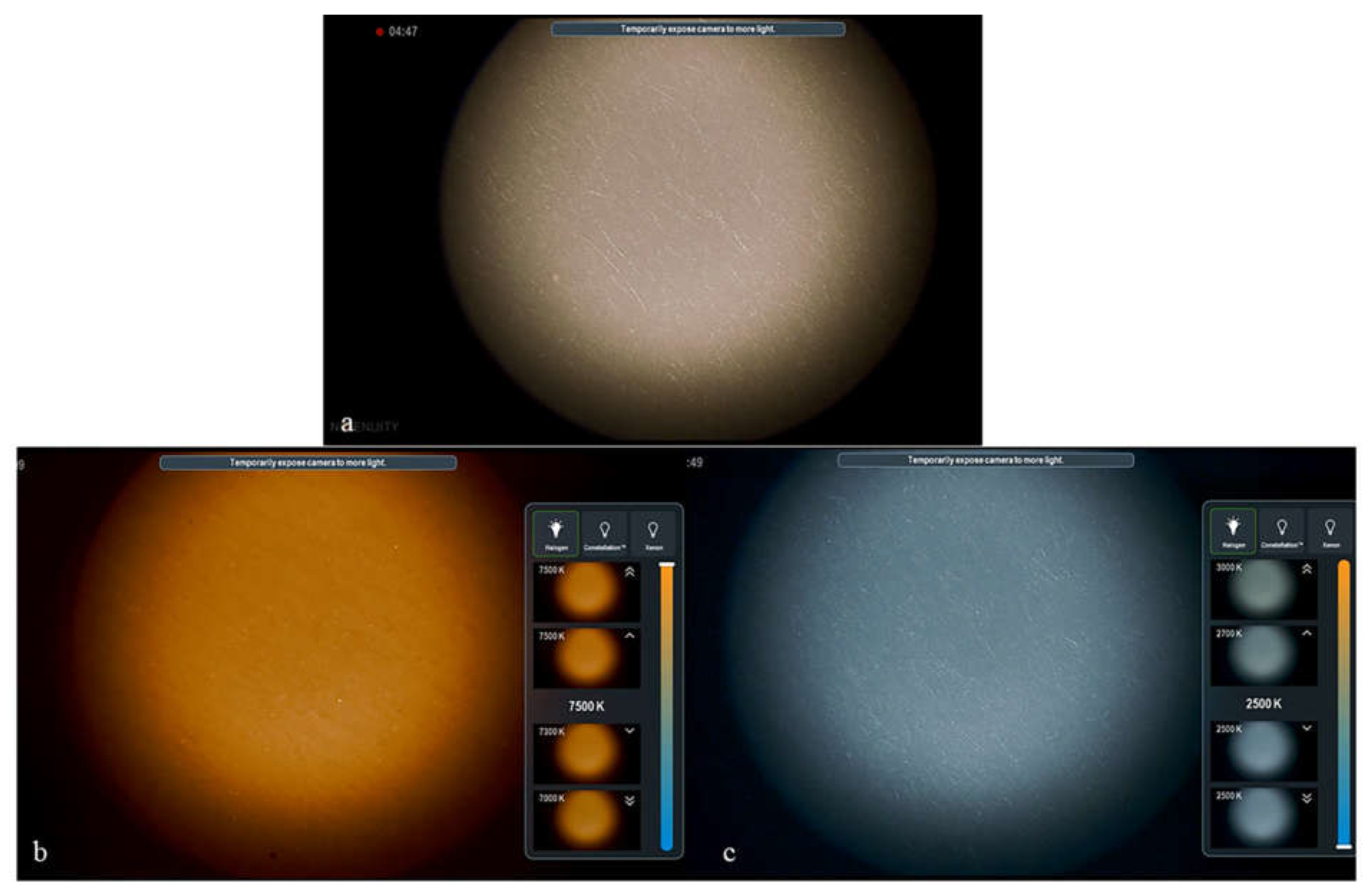 Jcm 12 02794 g005 Jcm 12 02794 g005